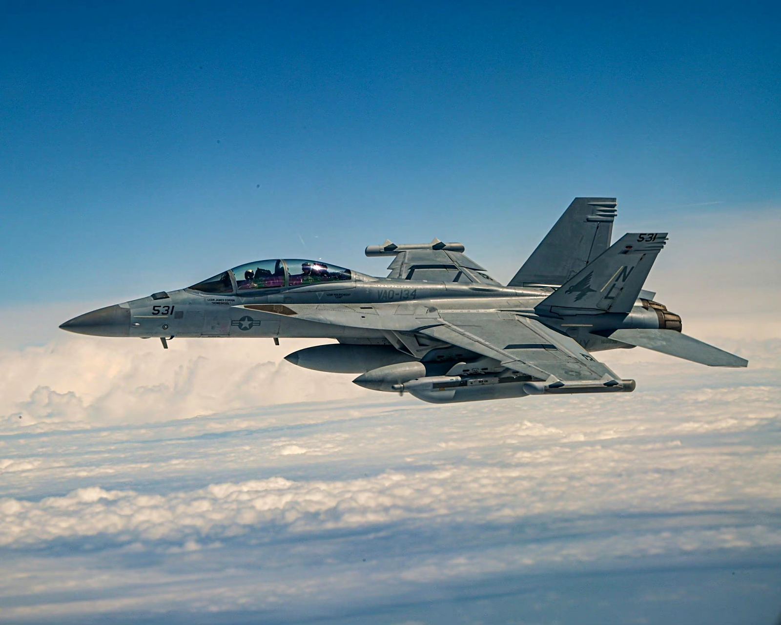 战机欣赏:美国海军 ea-18g电子干扰战斗机.#动漫# #模型# #战斗机