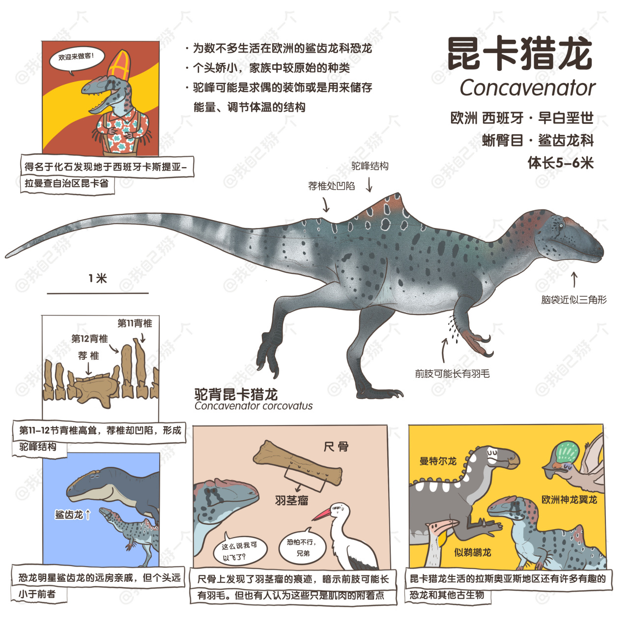 插画师蔡沁《史前生物你叫啥》插画欣赏,描绘和介绍了中生代生活在