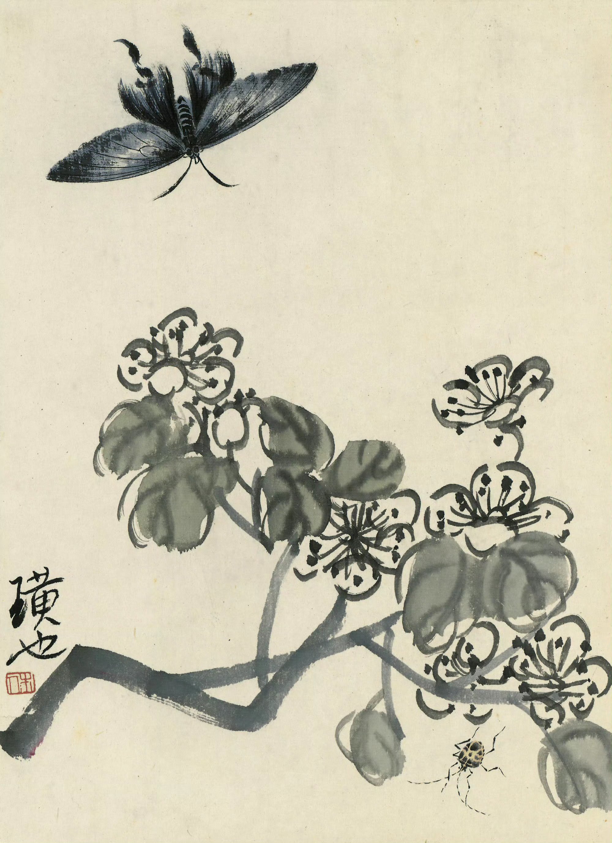 画家齐白石花鸟册页绘画作品欣赏