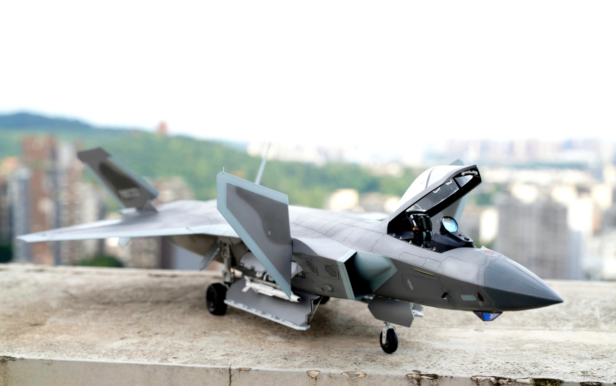 军模欣赏:小号手 1/48 歼-20战斗机,by fantasyhyp.