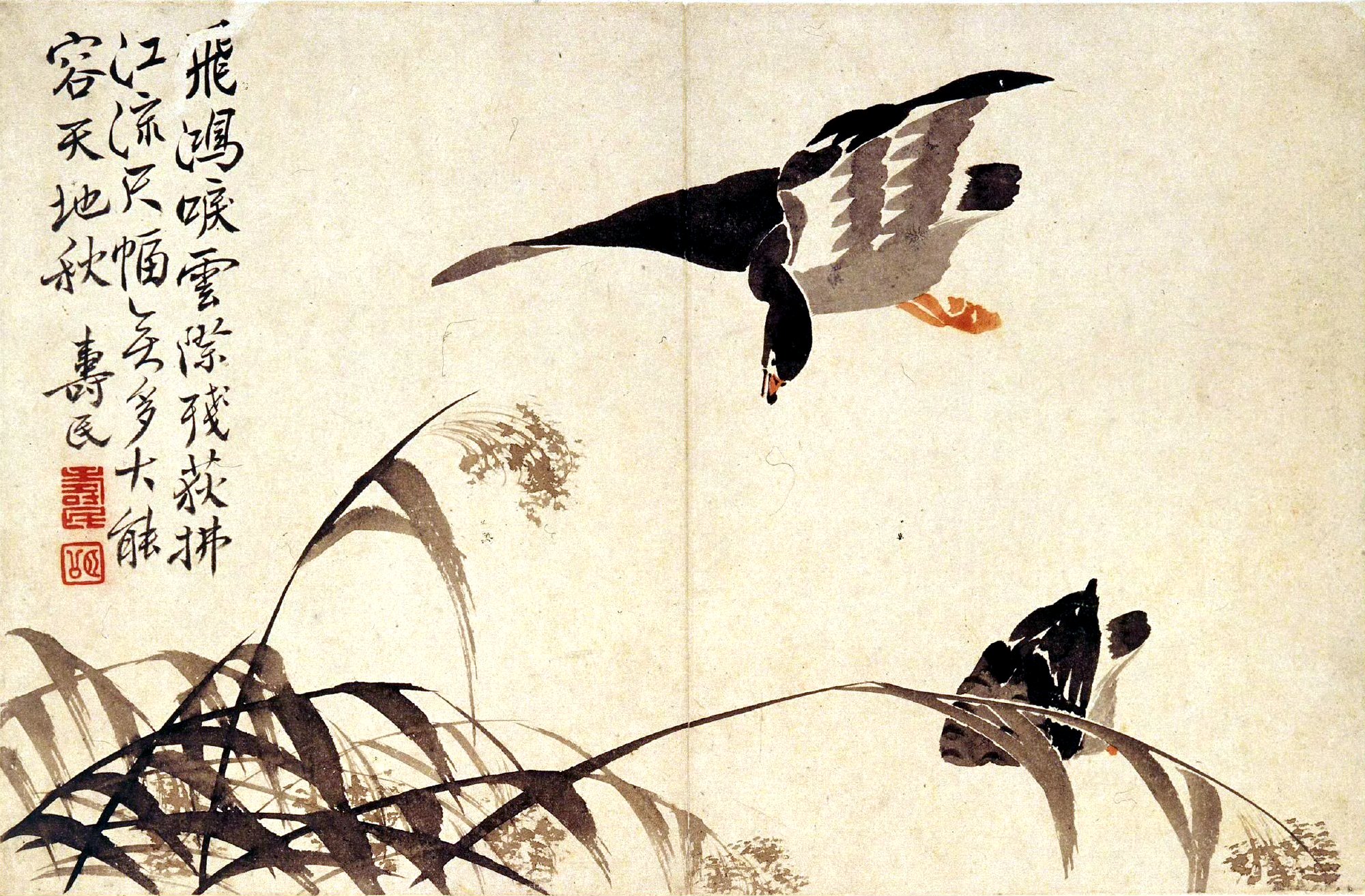 边寿民《芦雁》插画作品欣赏,用俊秀的笔法描绘芦苇丛中戏水的大雁,惟