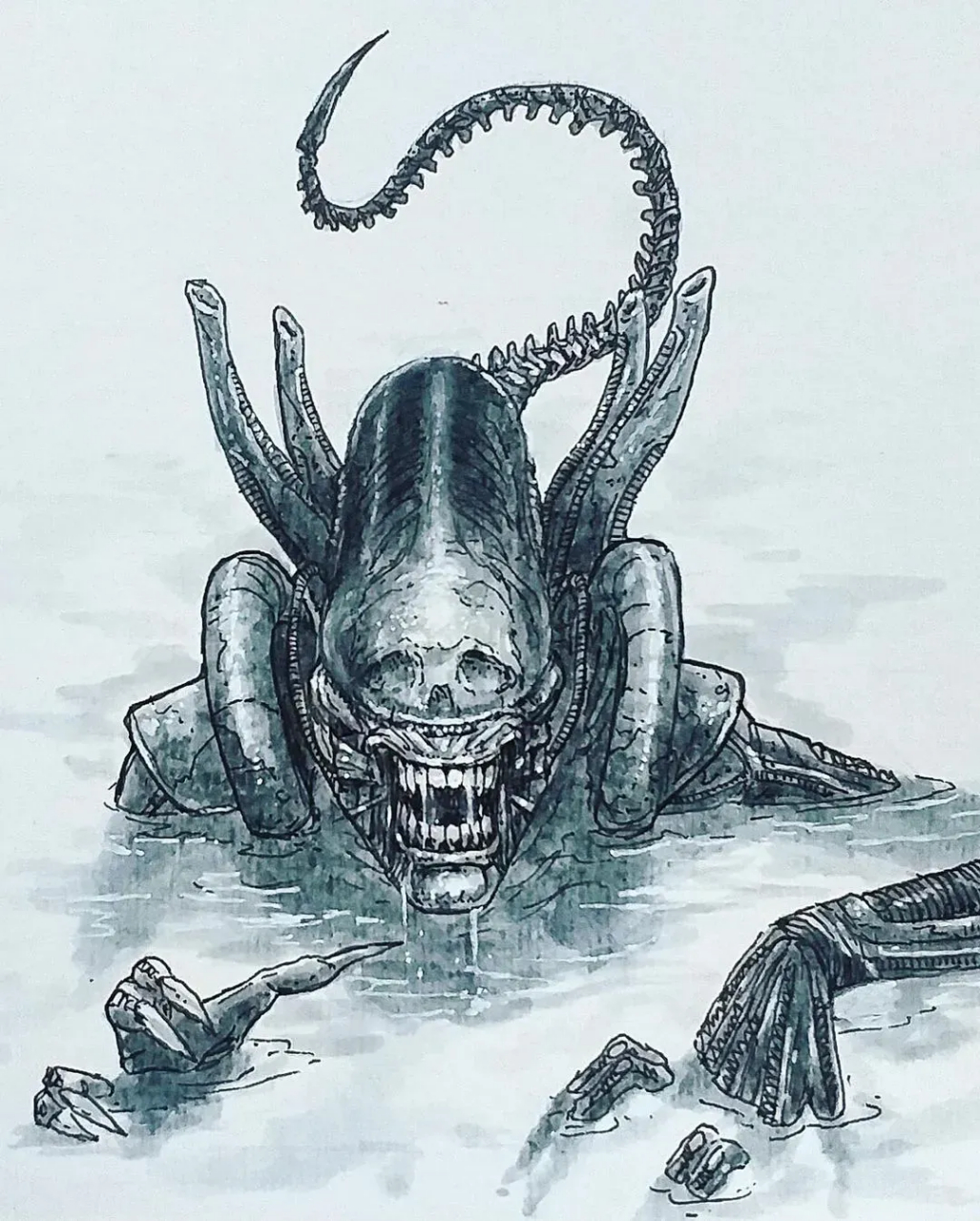 一组异形插画作品欣赏,表达了人类对未知的恐惧.#动漫# #插画# #异形