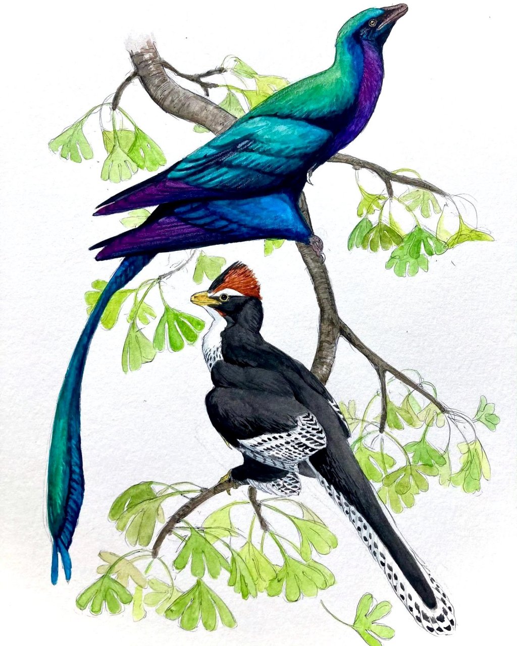 hatke绘制的一组鸟类绘画作品,描绘了中生代的各种鸟类,结合了最新的