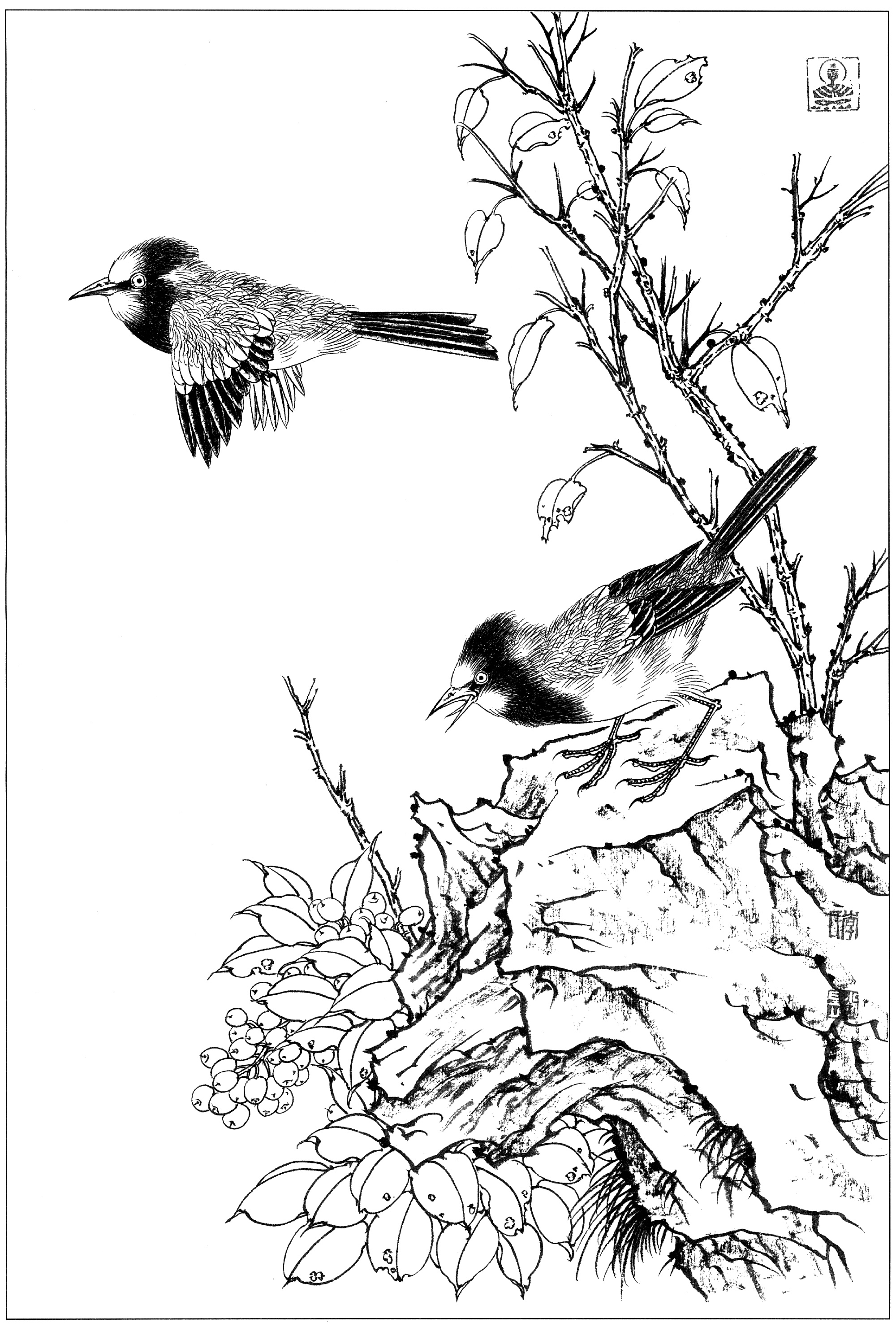 画家尚昱老师花鸟白描欣赏,他通过表现林木,花草与禽鸟的生命力,进而