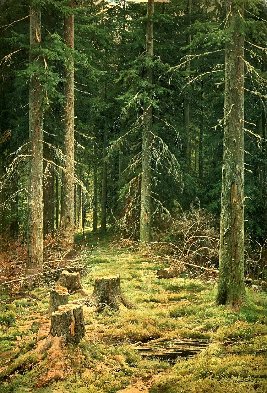 一组森林风光油画欣赏,偏写实风格,by 伊凡·伊凡诺维奇·希施金(1832