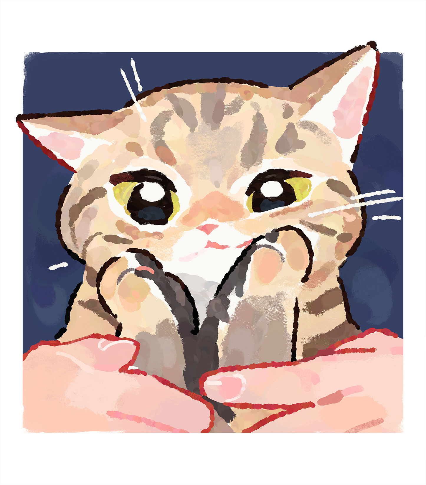 gentlecat绘制的插画作品,用简约细腻的画风描绘了可爱猫咪的日常生活