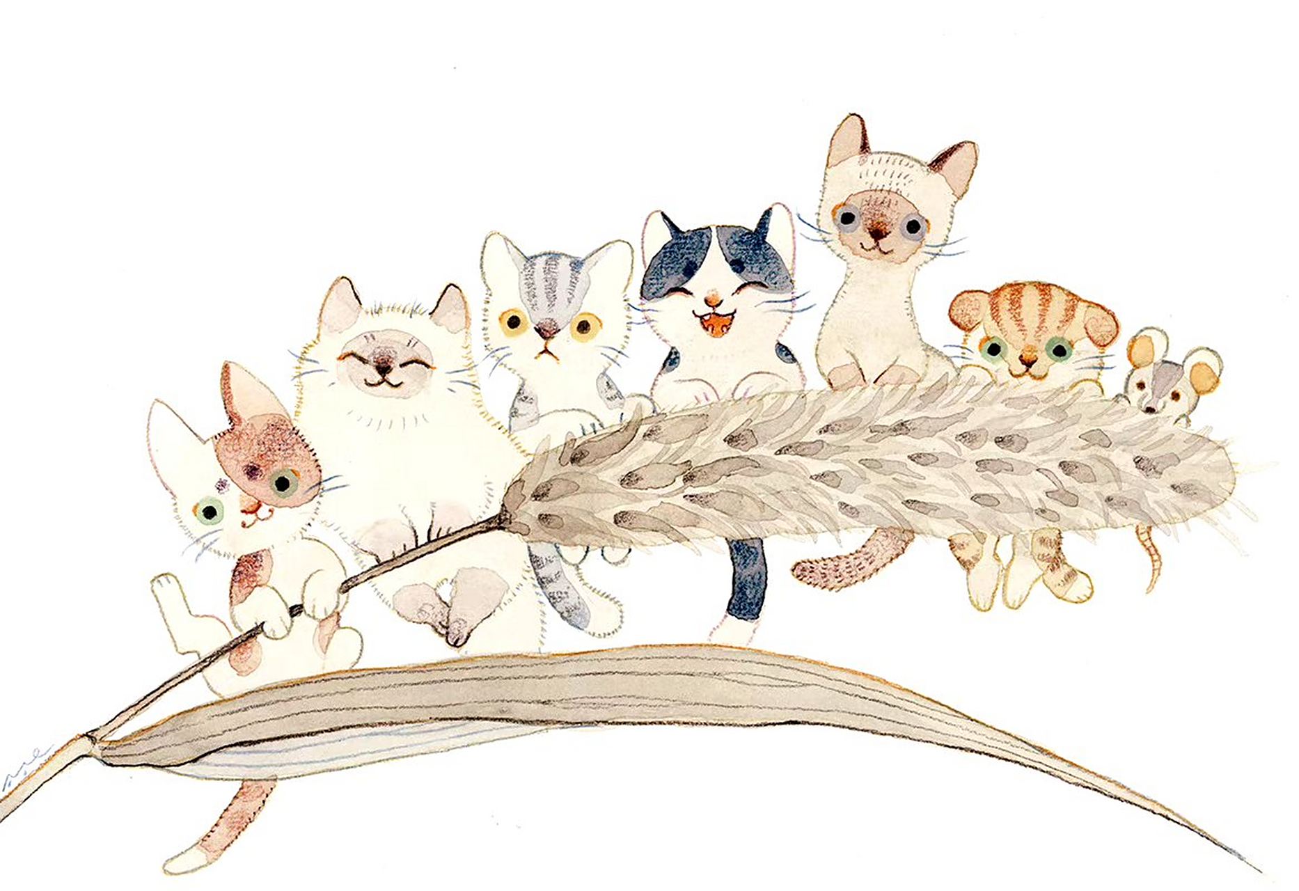 一组可爱的动物插画,日常的宠物化身可爱的精灵,by miyutaeokiba 67