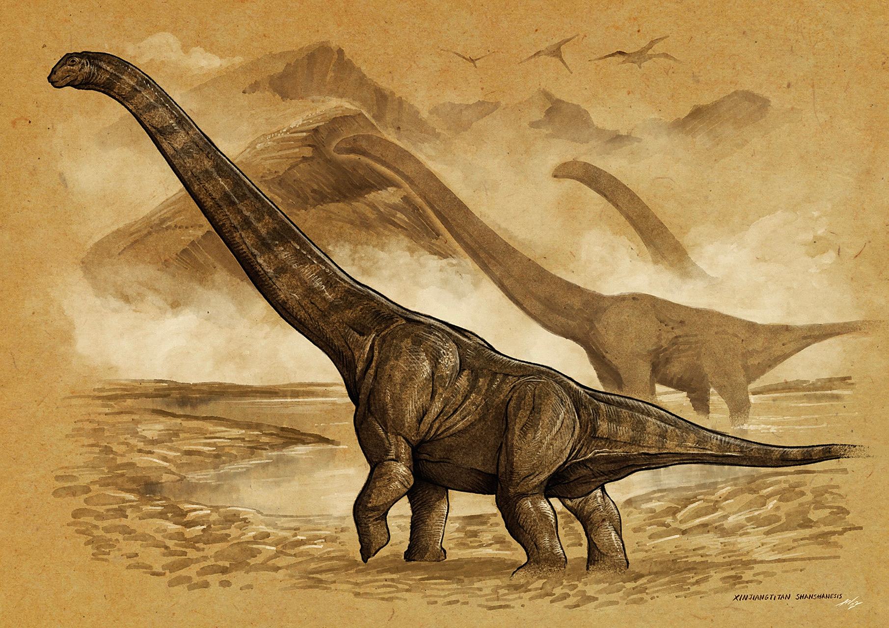 n绘制的恐龙作品,展现了大型的食肉和植食性恐龙