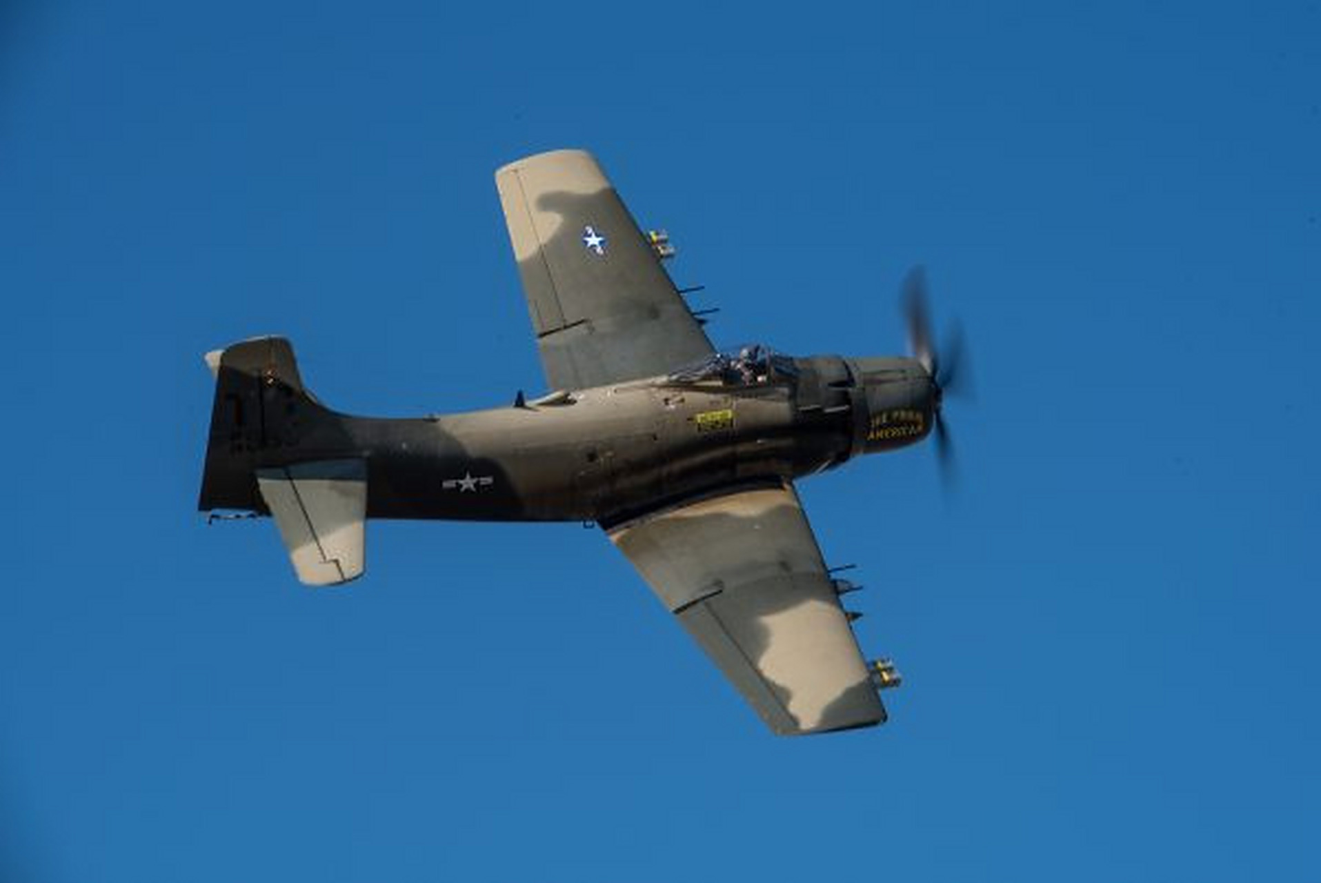 战机欣赏:美国海军 a-1 "skyraider /天袭者"攻击机,虽然采用螺旋桨