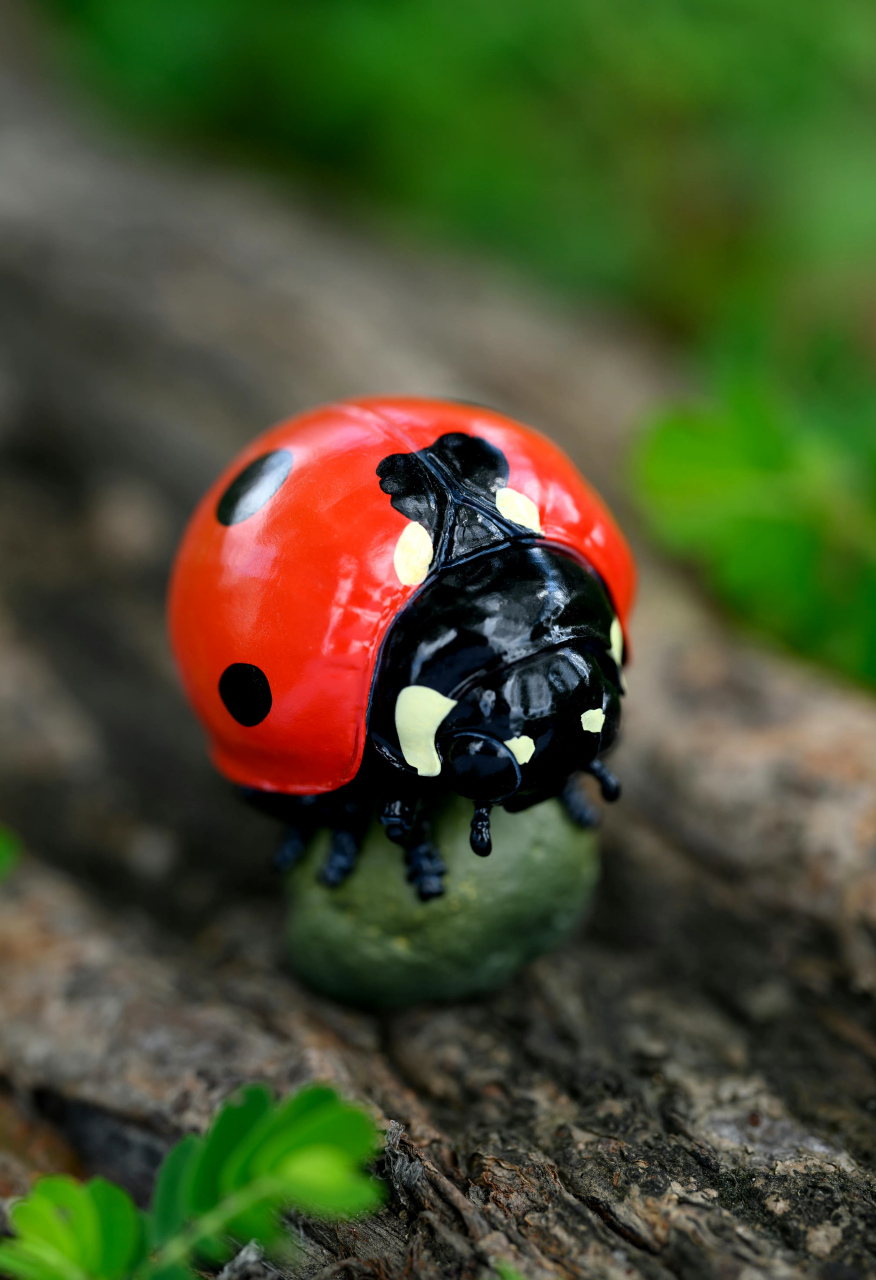 模型欣赏:动物星球 心宽体胖系列 昆虫模型.#动漫# #模型# #昆虫