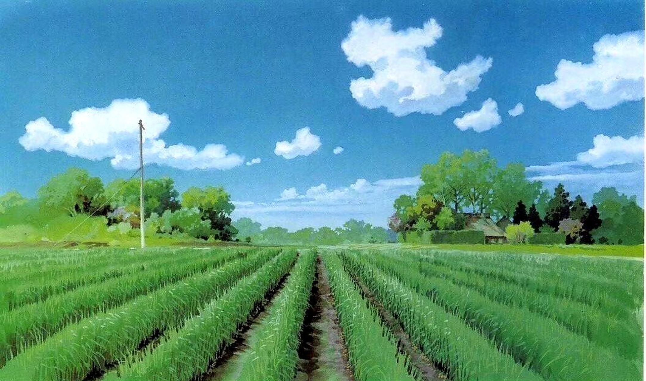 一组宫崎骏电影中的夏天,依稀记得电影中的美好故事.