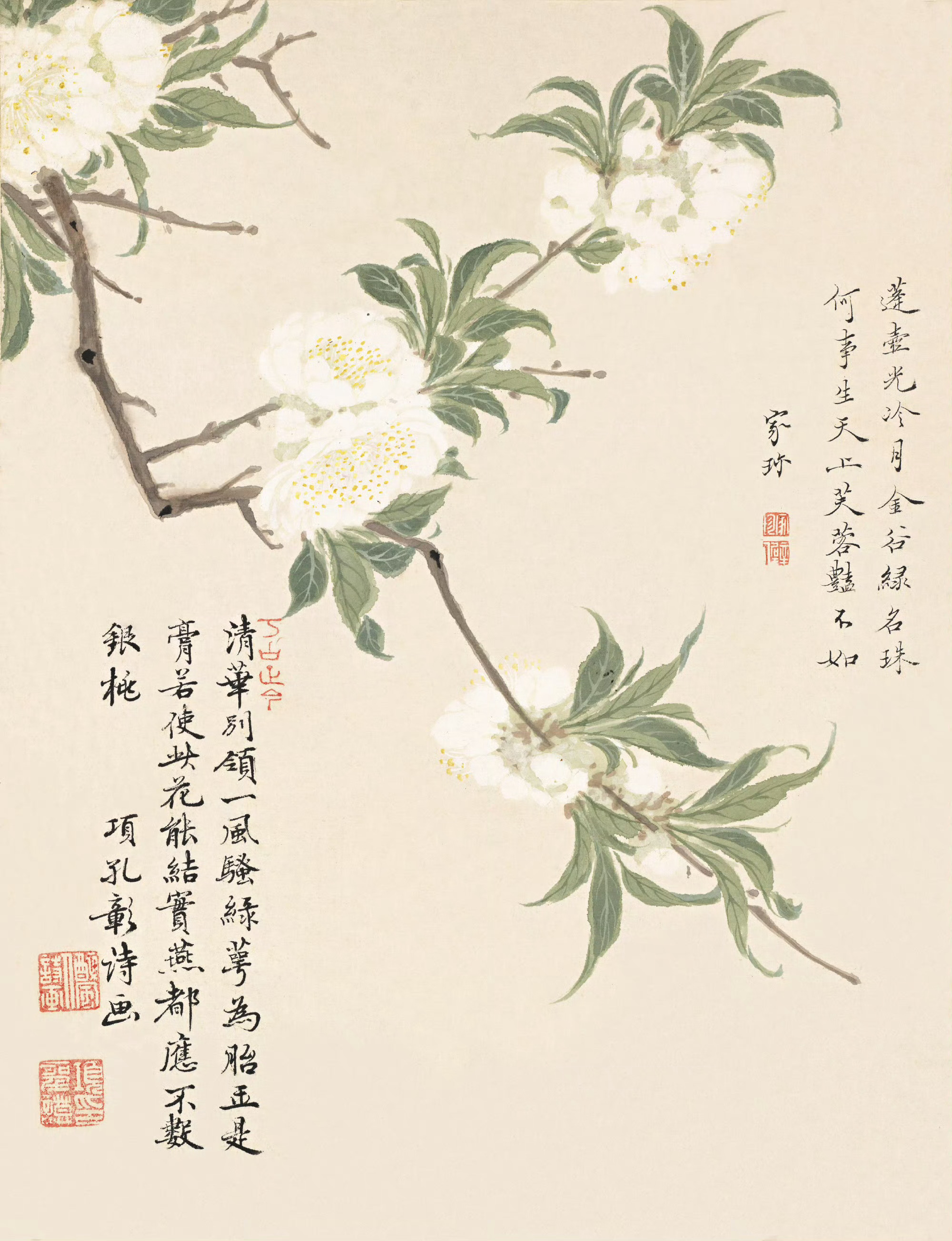 清代画家项圣谟《花卉册页十开》插画欣赏,其作品融汇了宋人用笔的