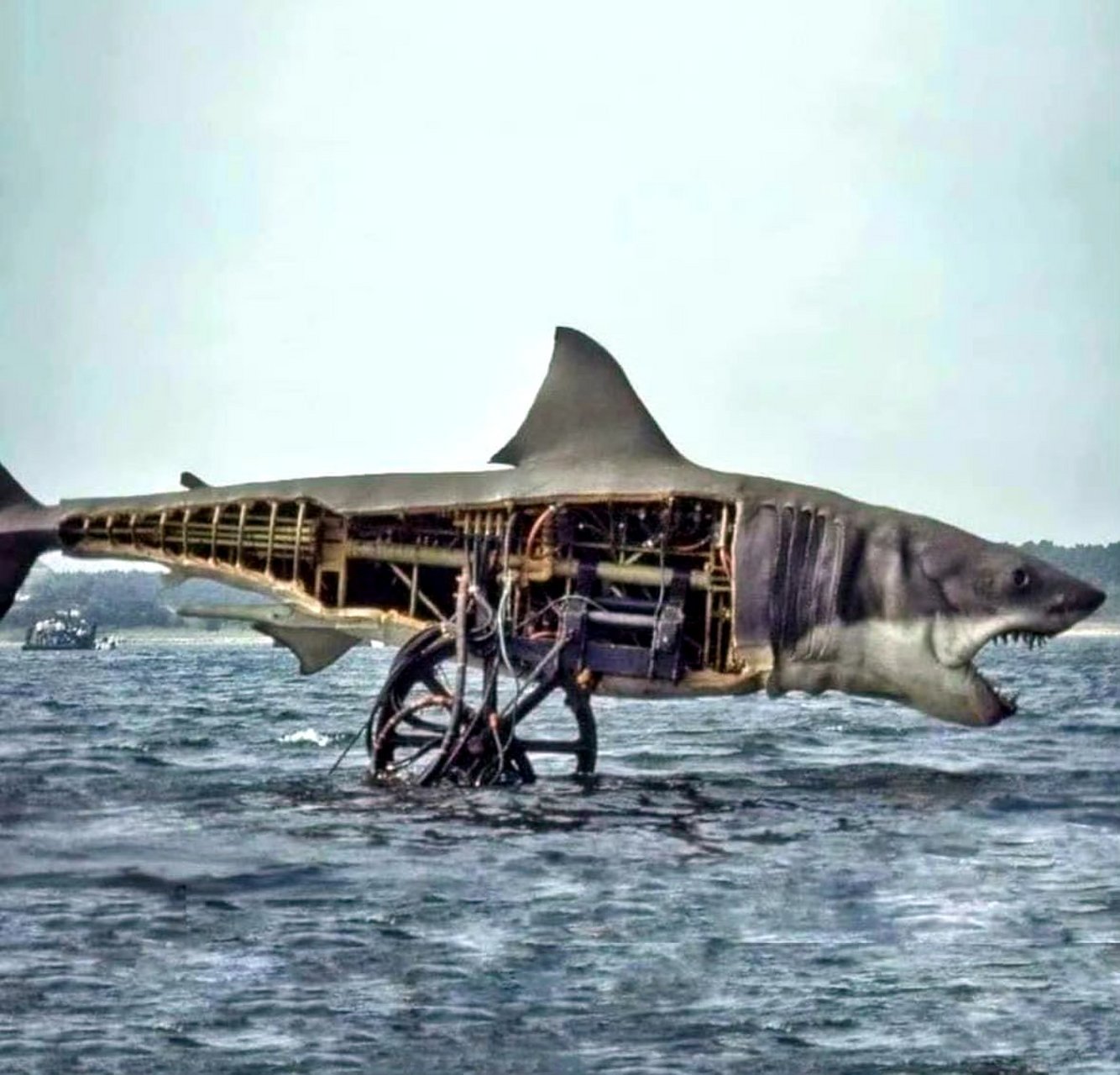 1975年斯皮尔伯格拍摄电影《大白鲨》时使用机械鲨鱼,做的相当逼真