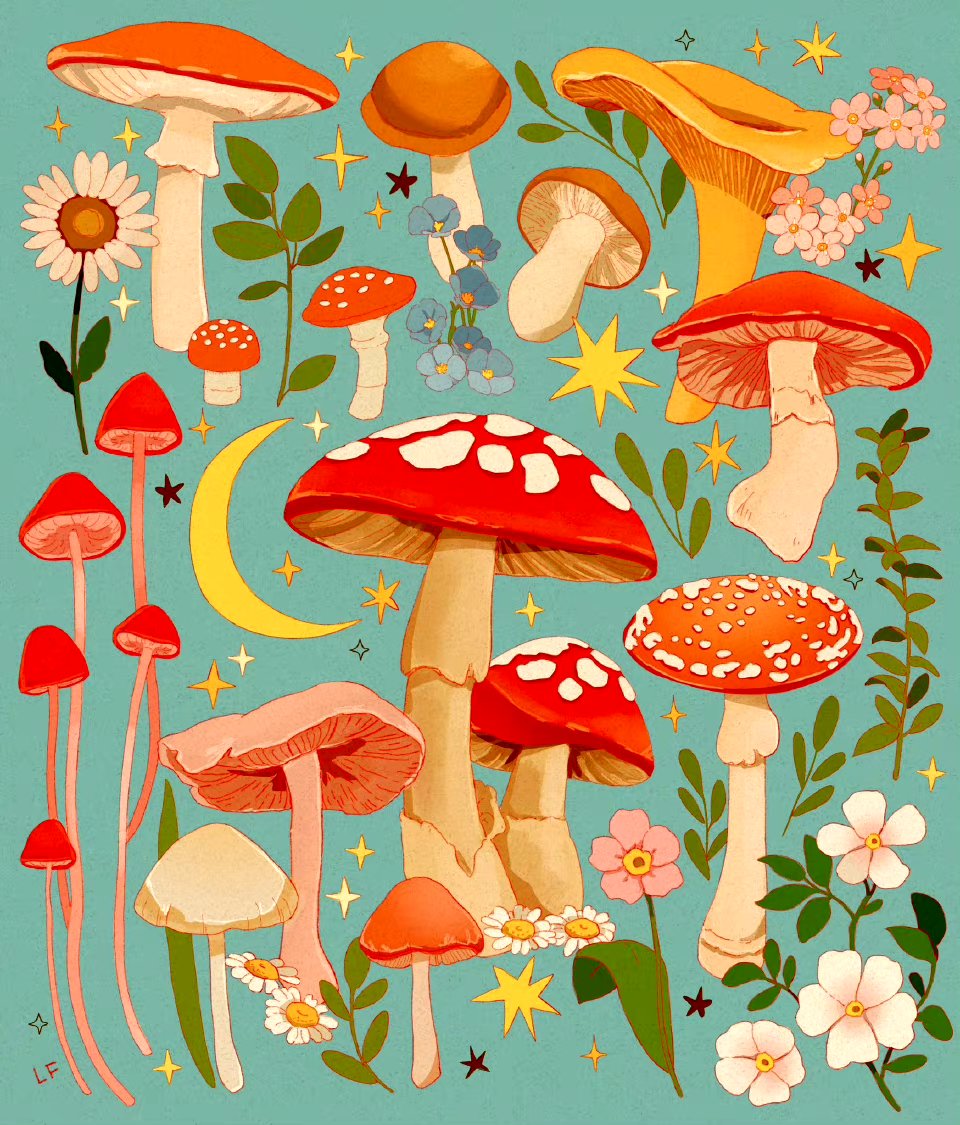画师libby插画作品欣赏,盛开的花朵与生意盎然的蘑菇