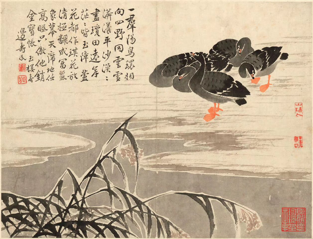 清朝画家边寿民《芦雁图册页》绘画作品欣赏, 每开画面多描绘芦雁的不