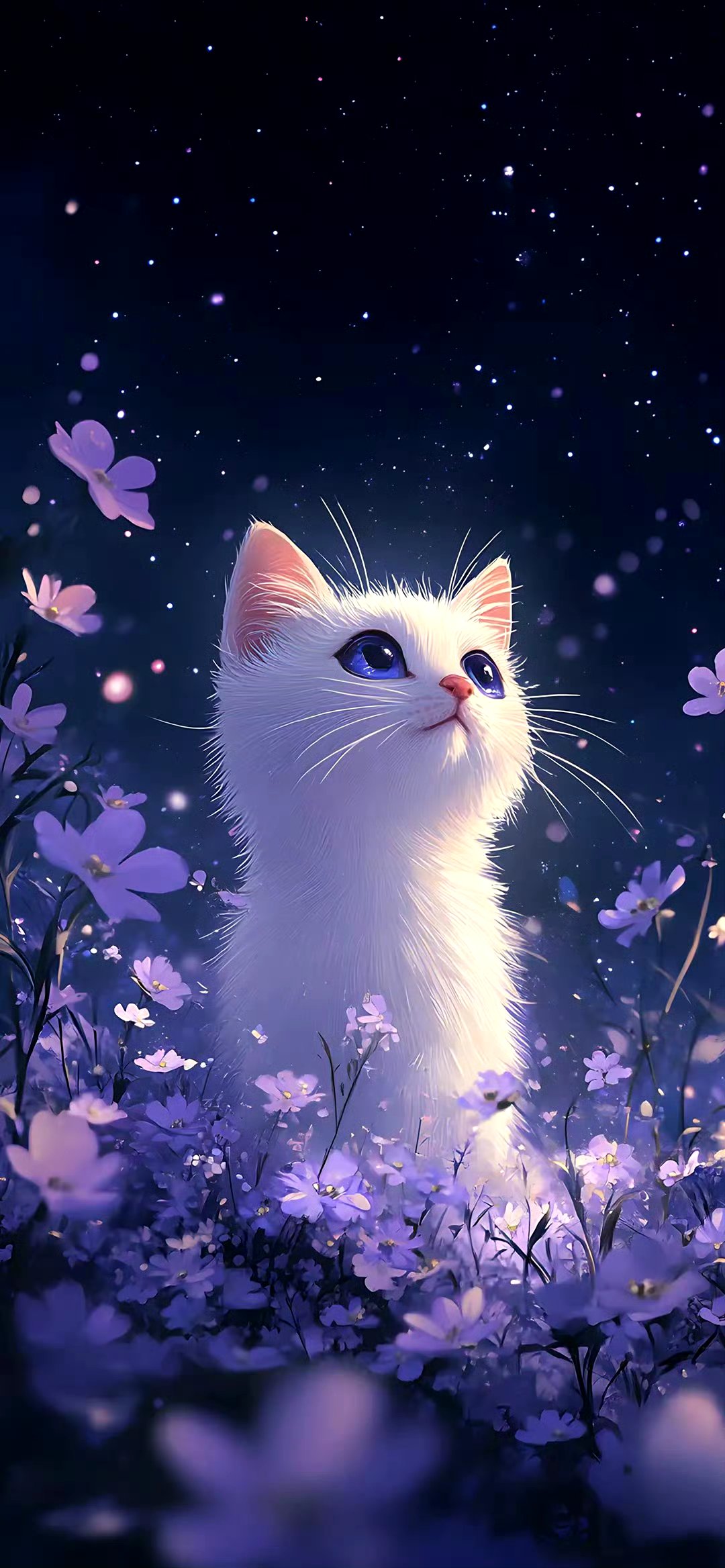 分享一组动漫猫咪插画作品,描绘了它们仰望星空的场景