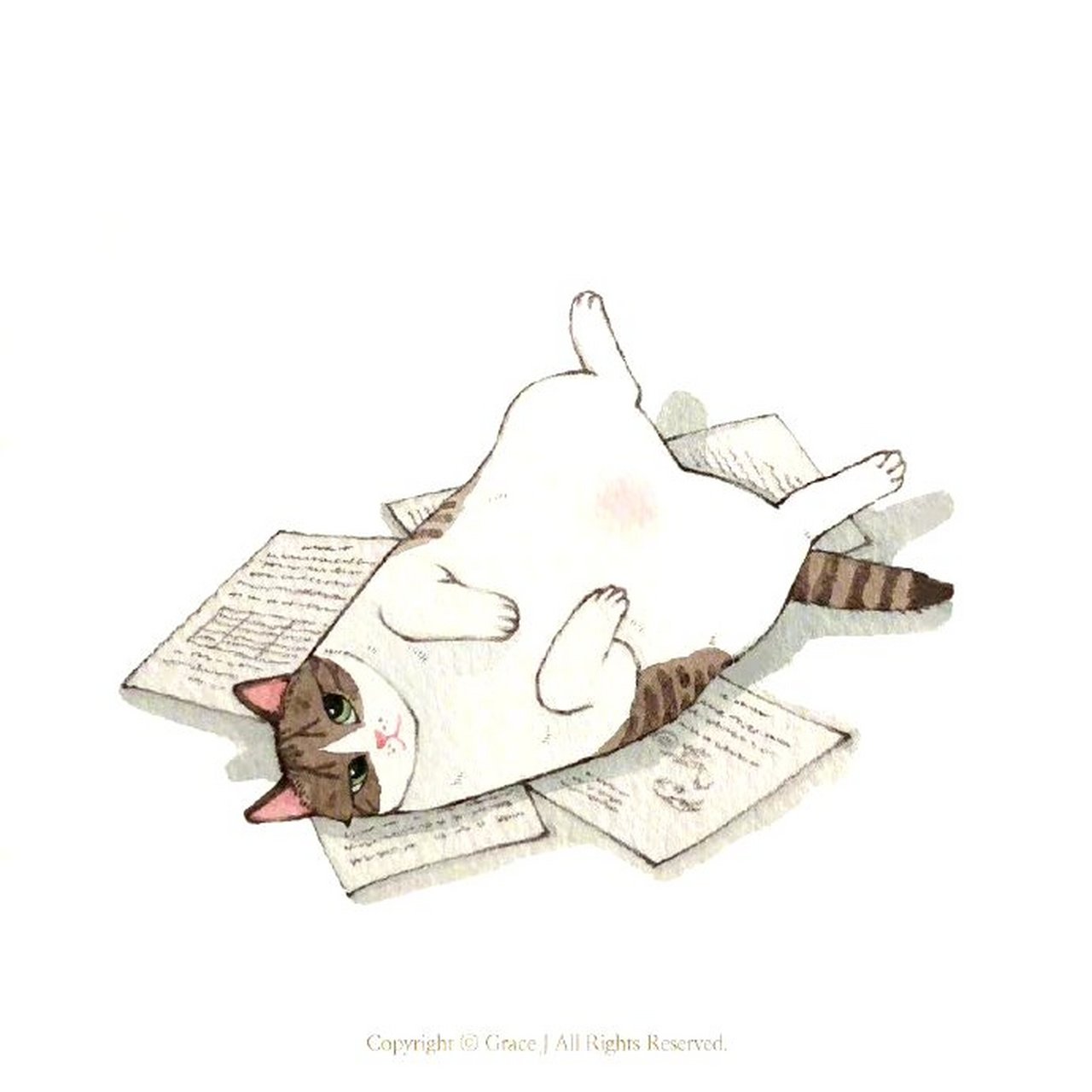 插画师 grace j 笔下的猫猫,用拟人的手法展现了猫咪有趣的瞬间.