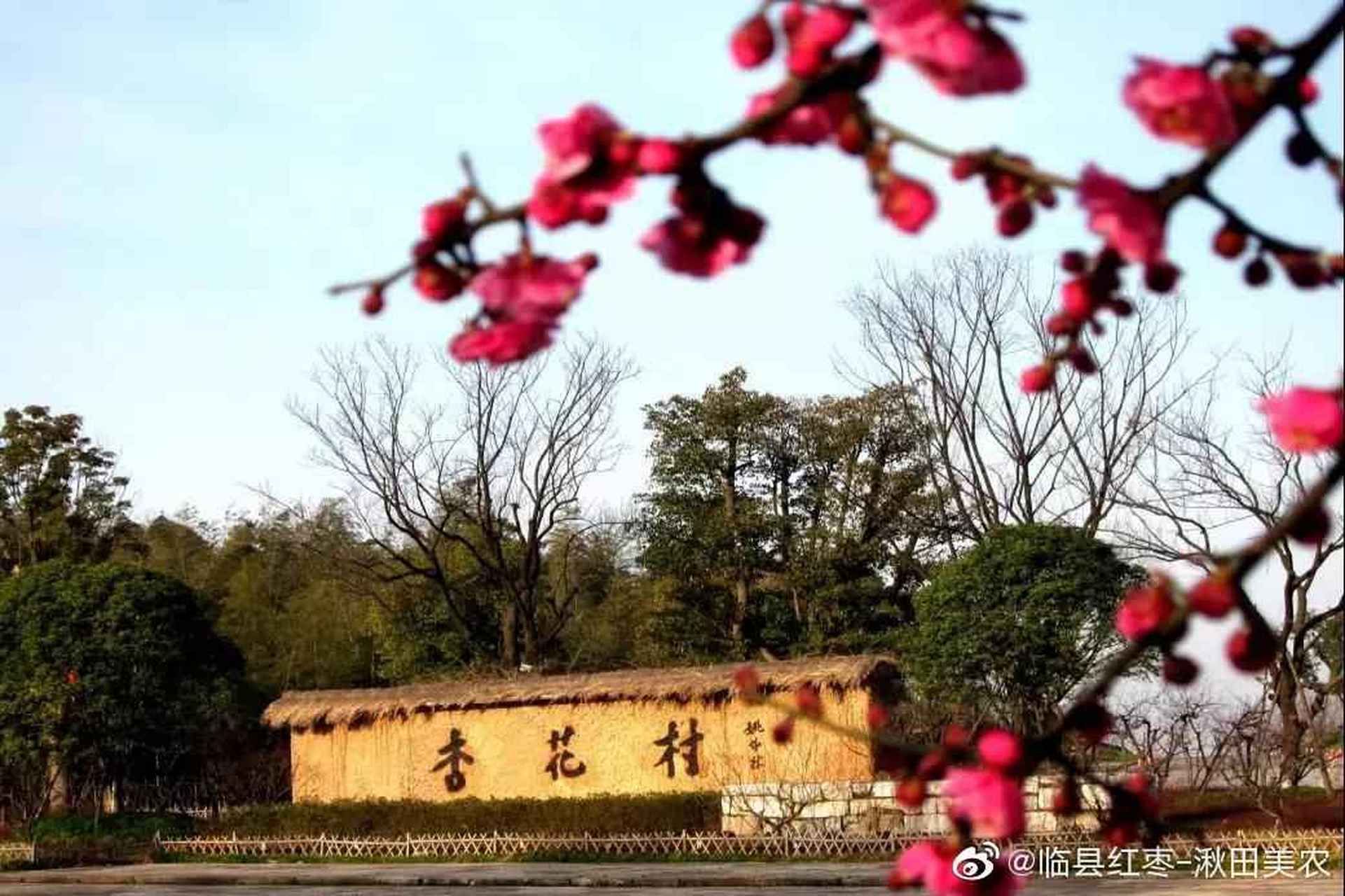 吕梁美景之杏花村 杏花村,山西十佳旅游景点之一.