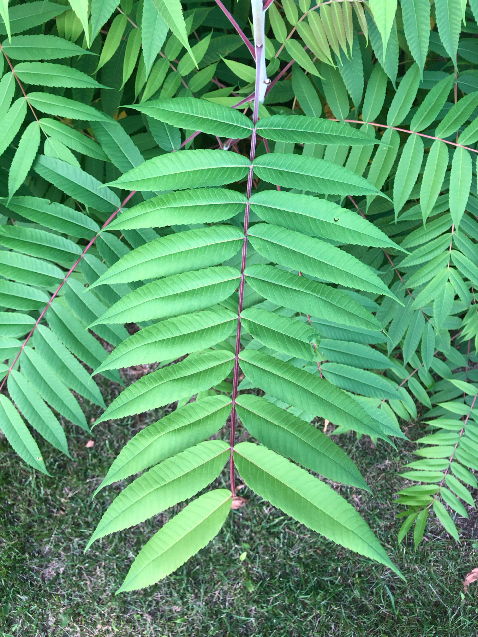 想要的事 徐徐图之