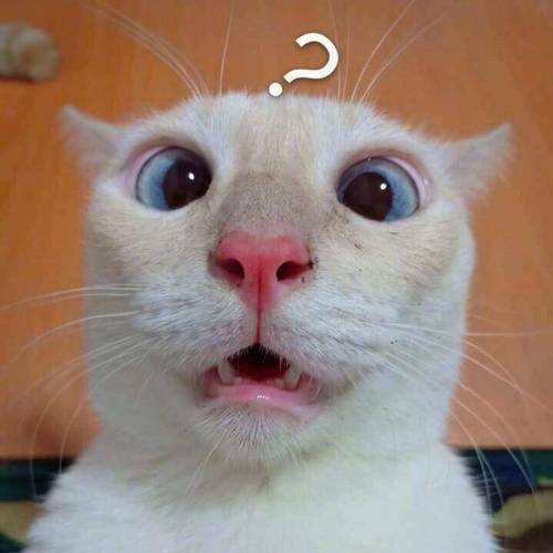 神操作,整得我目瞪口呆,差点惊掉我的下巴.