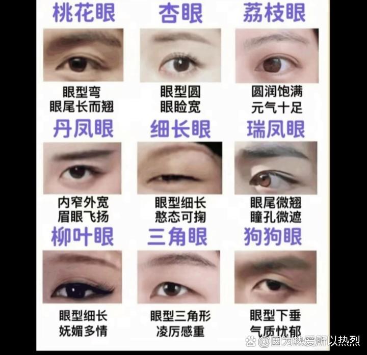 怎样眼叫腰果眼图片