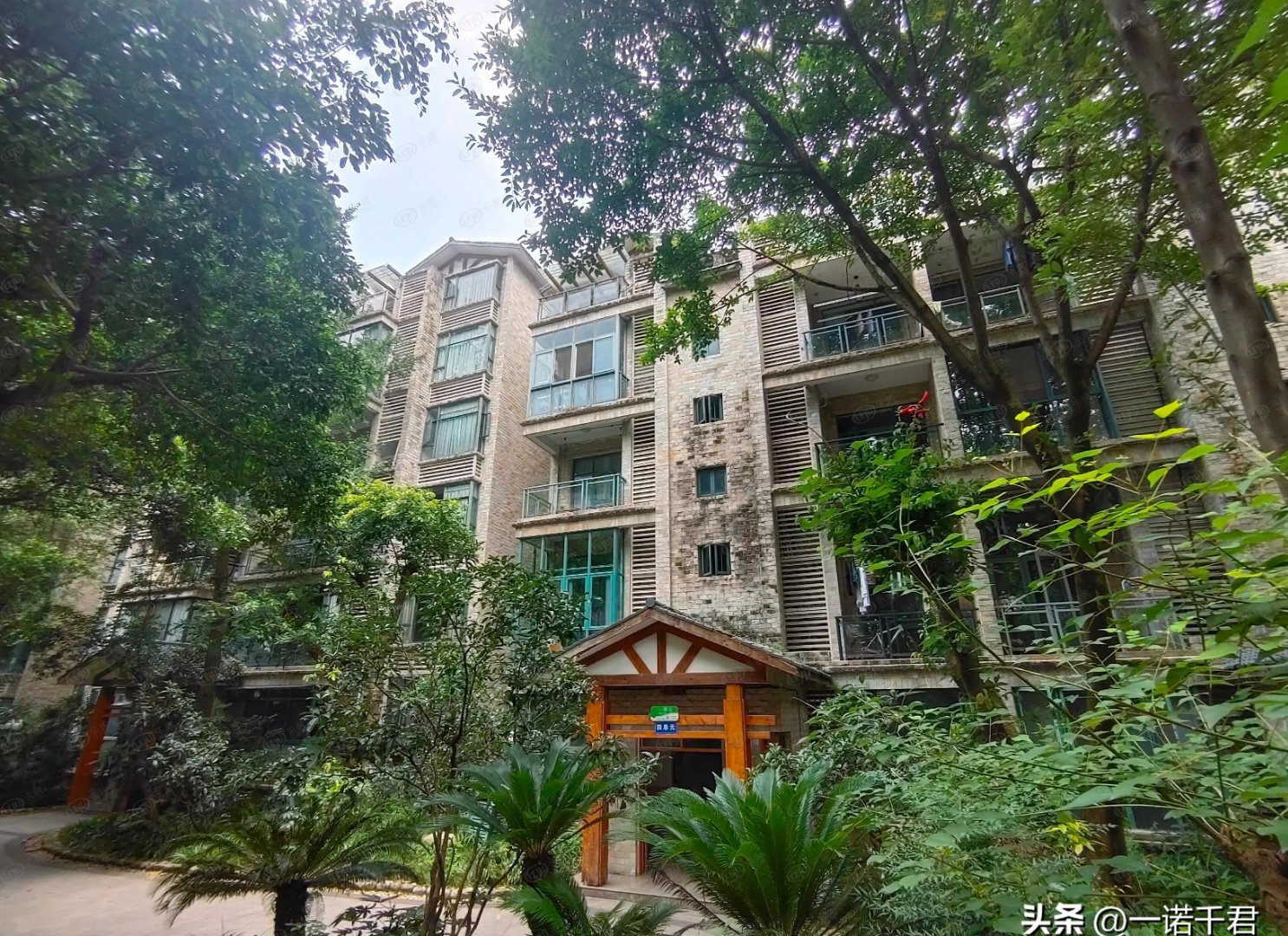 最近我在成都主城区买了一套二十年房龄的老房子一楼带花园!