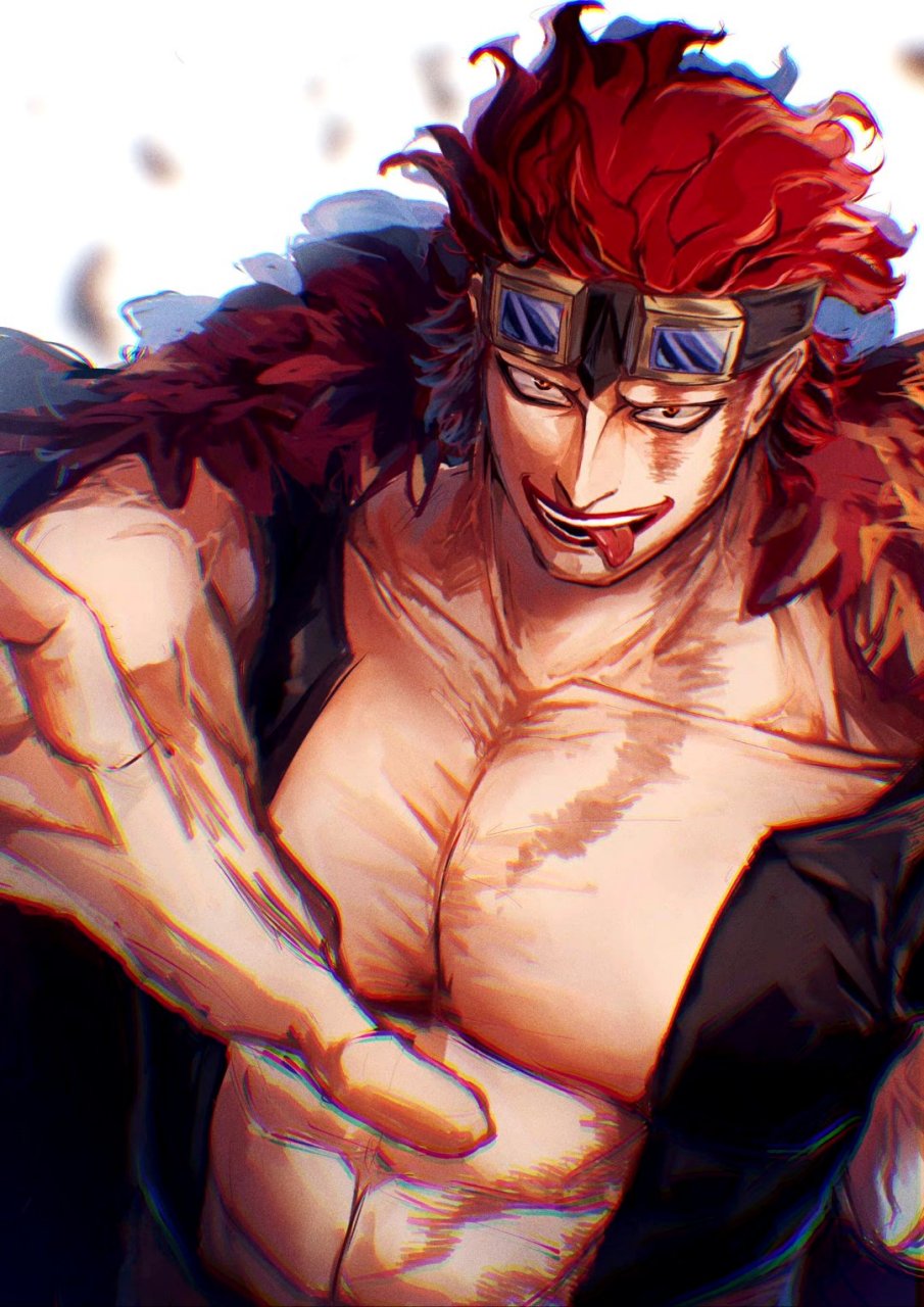 海贼王# 基德和基拉