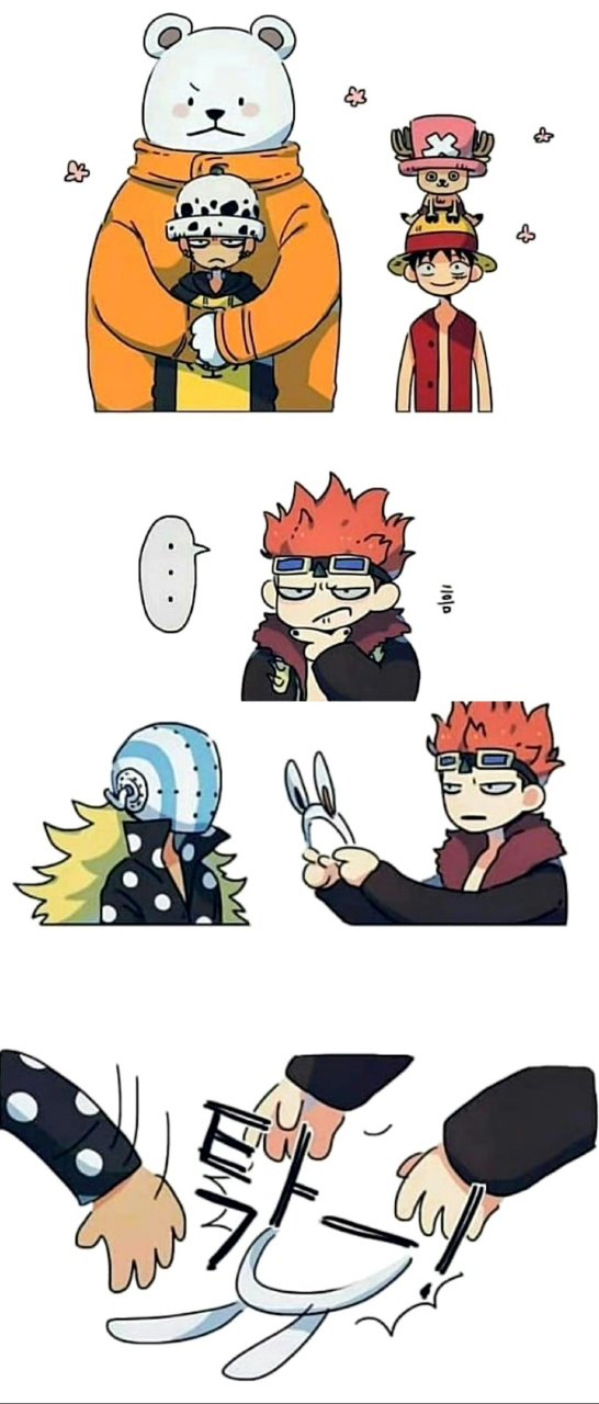 海贼王# 红心海贼团有团宠贝波,草帽海贼团有乔巴,就基德海贼团没有