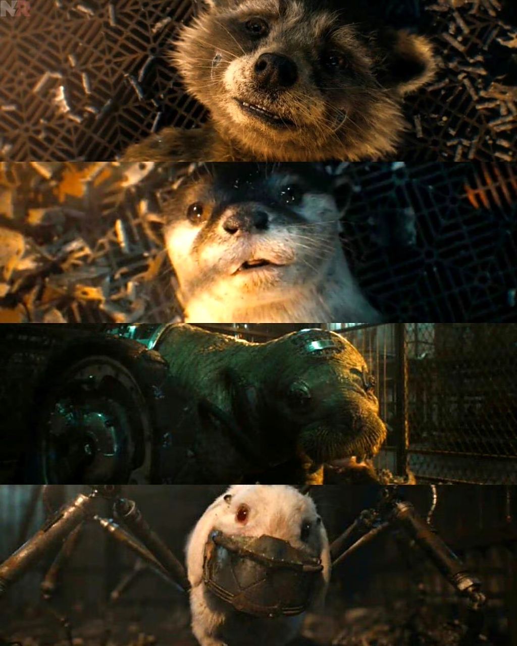 漫威# 火箭以前的朋友们,莱拉,大牙和板板[流泪]