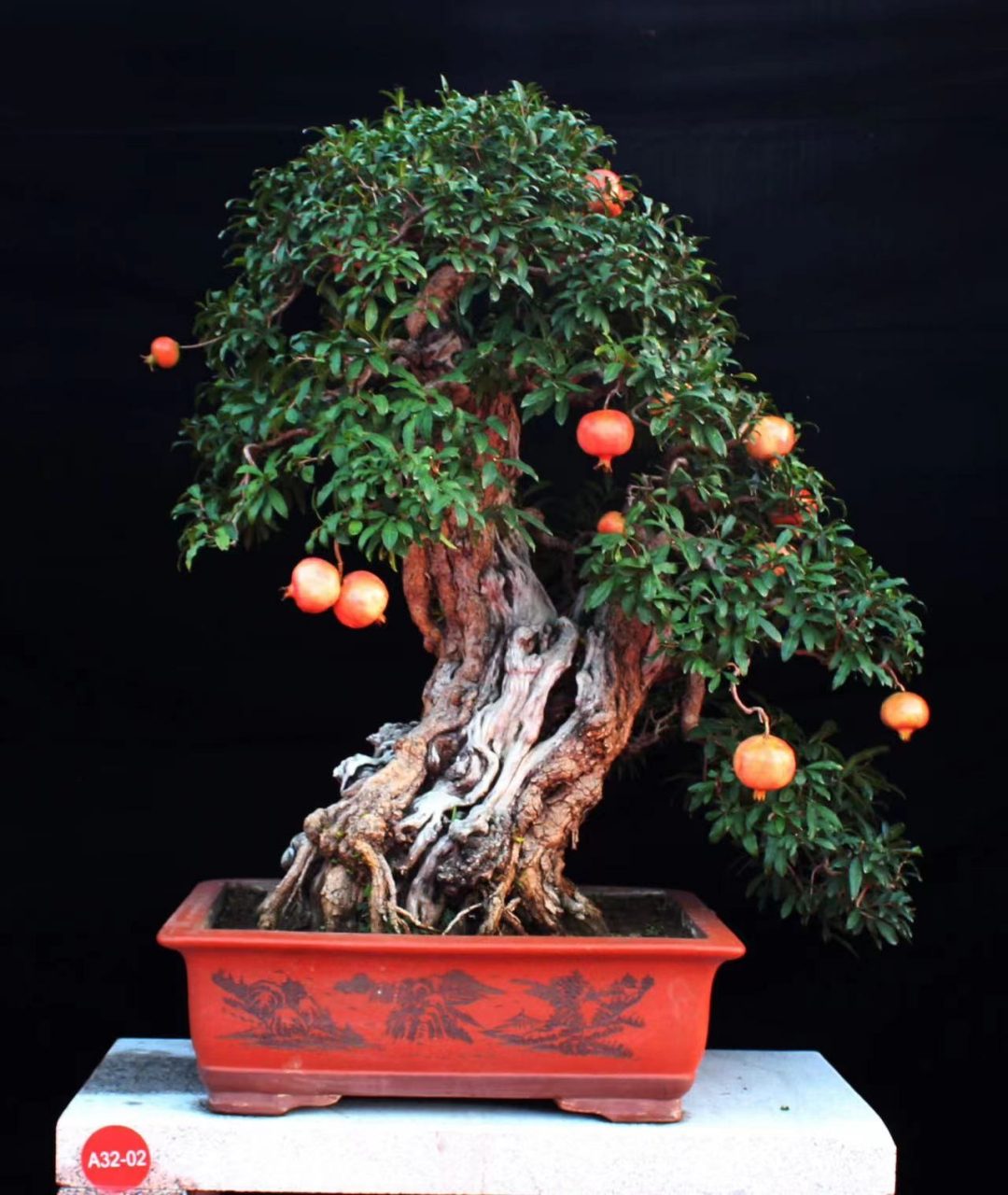 山东省枣庄市峄城区友园石榴盆景园