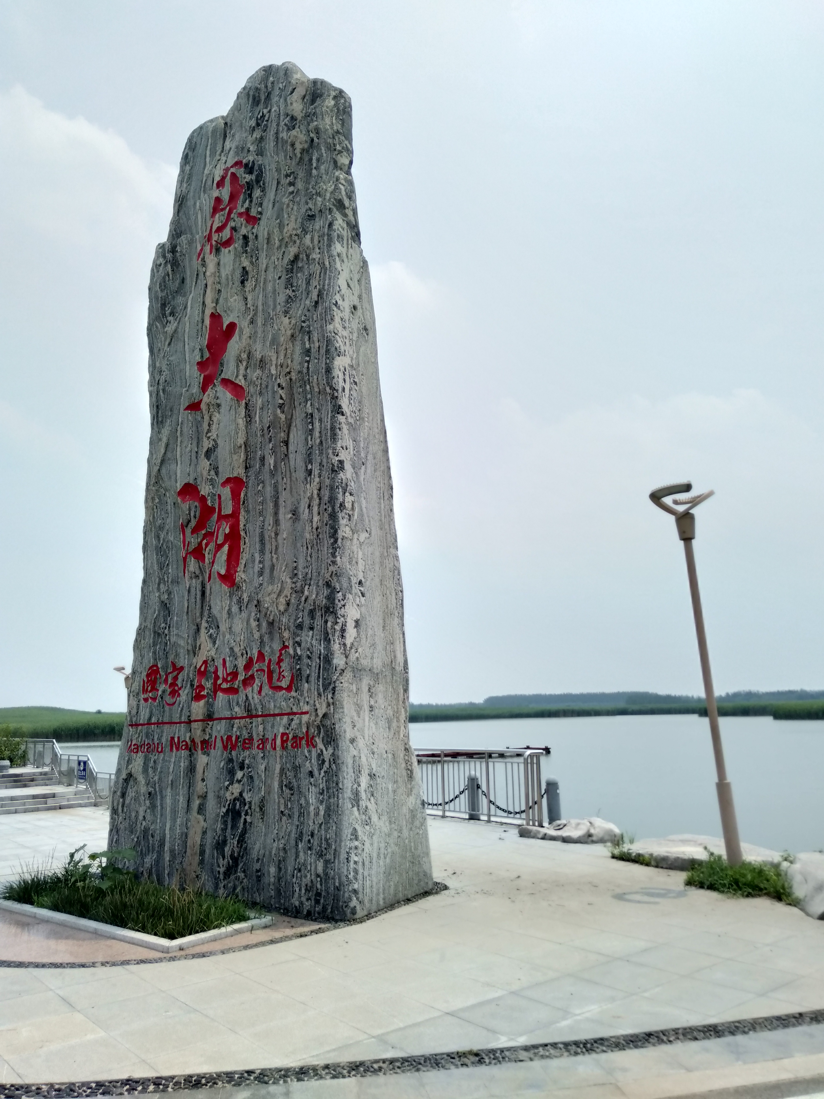 山东博兴的麻大湖国家湿地公园一日游 这个公园在博兴县,紧挨在马踏湖