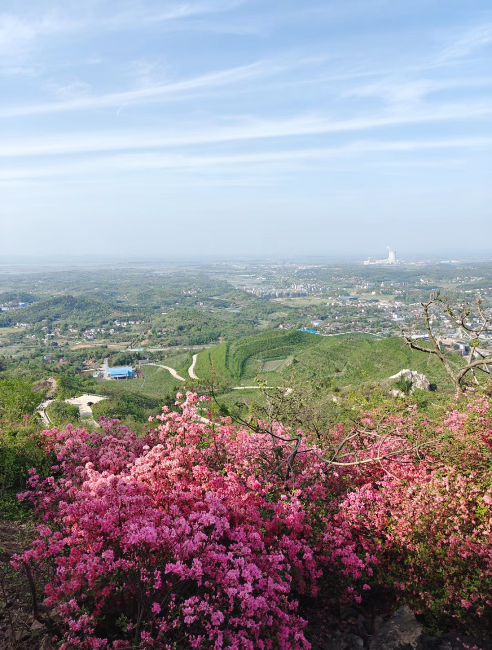 随手拍春天# 登上山坡,眼前的景色令人惊叹.