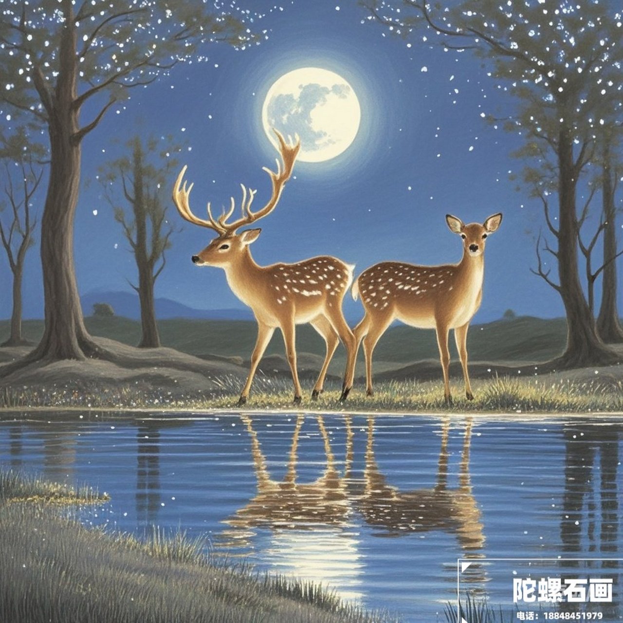 在这幅宁静的画面中,两只鹿在月光下湖边的倒影,显得格外宁静#图文