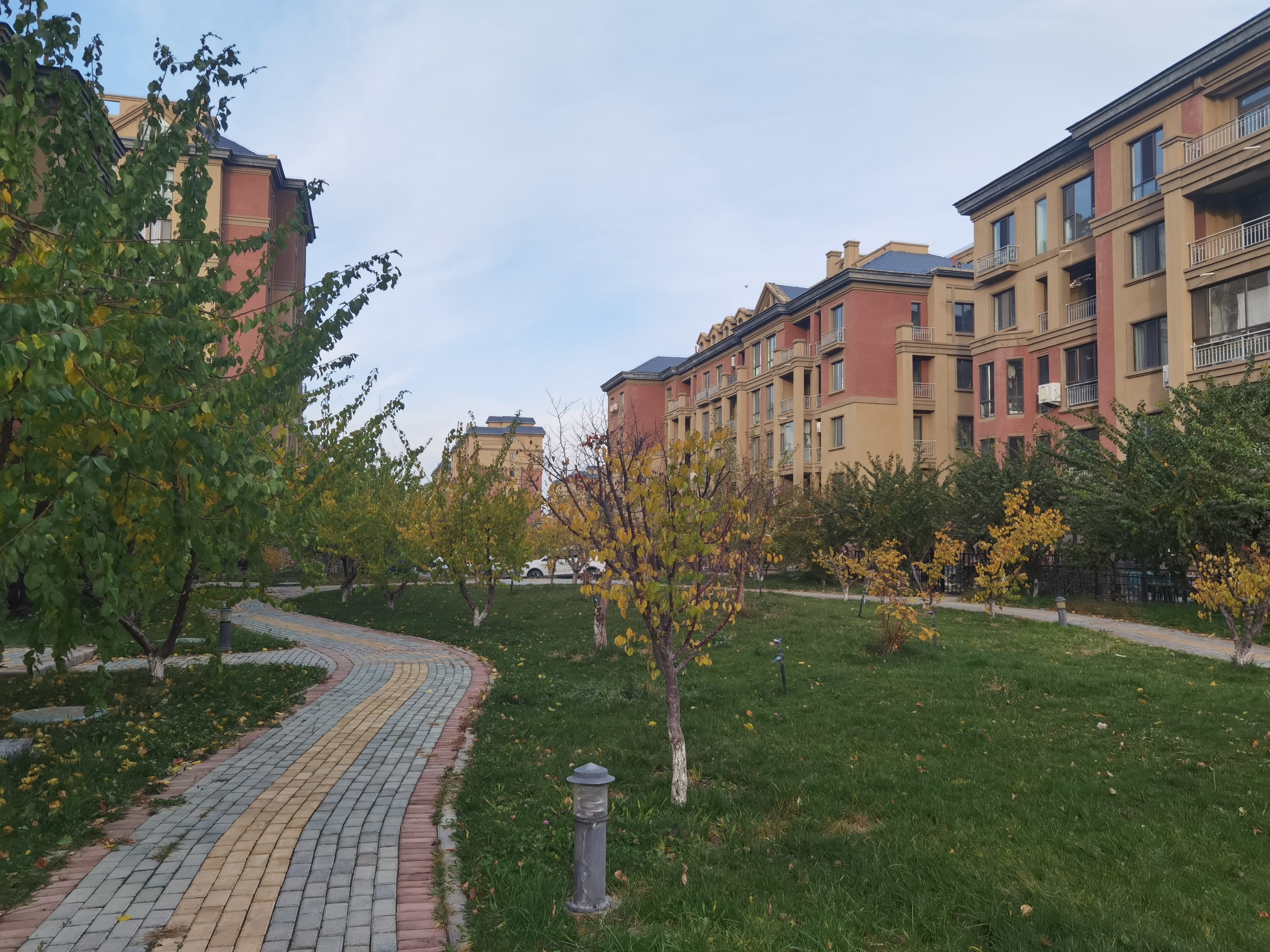 事半功倍 	 《黄帝内经》中说:"肺者,气之本,魄之处也