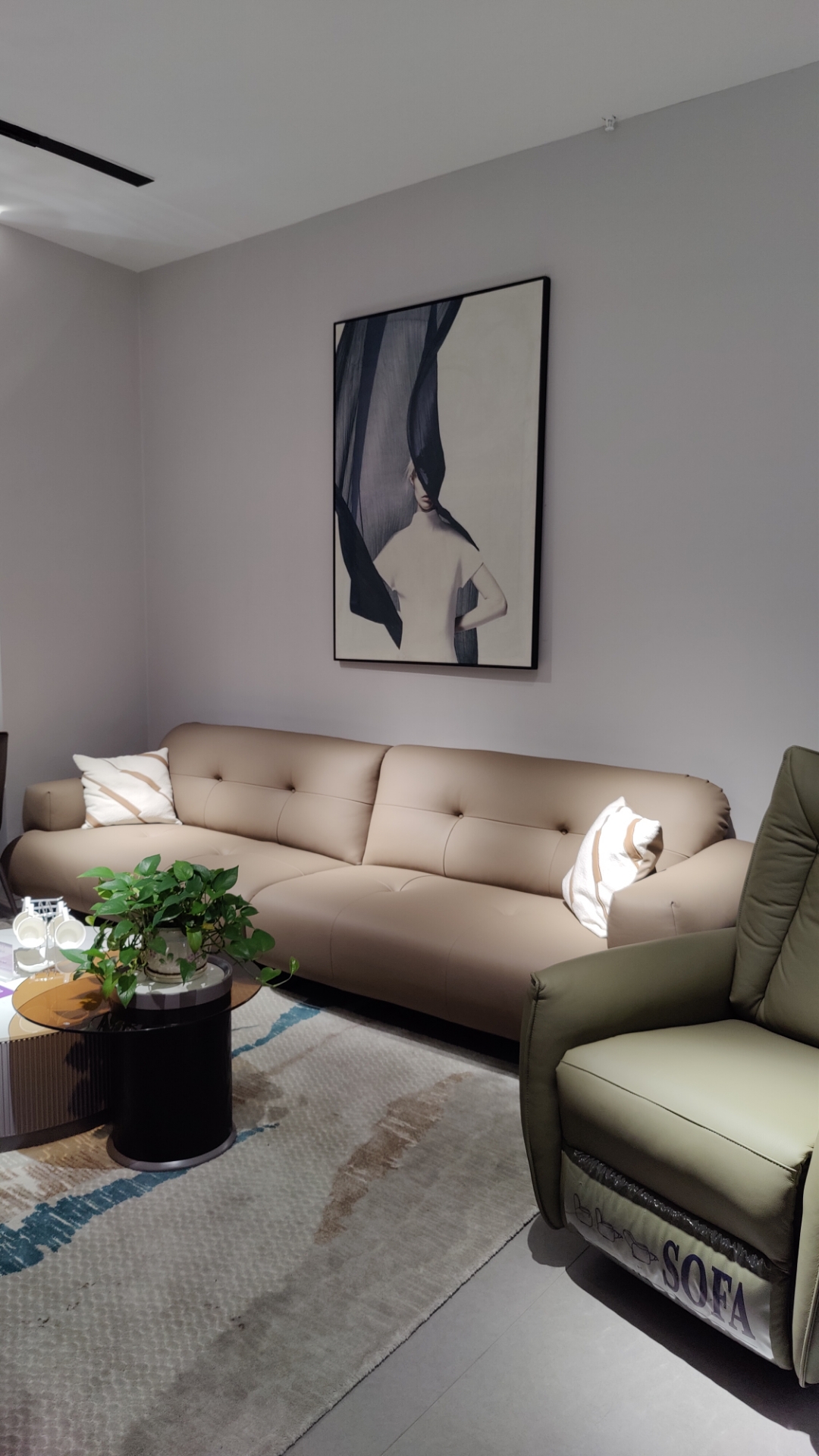 客厅里,阳光洒在米色沙发上,我懒洋洋地躺在上面,旁边的小茶几上,绿植