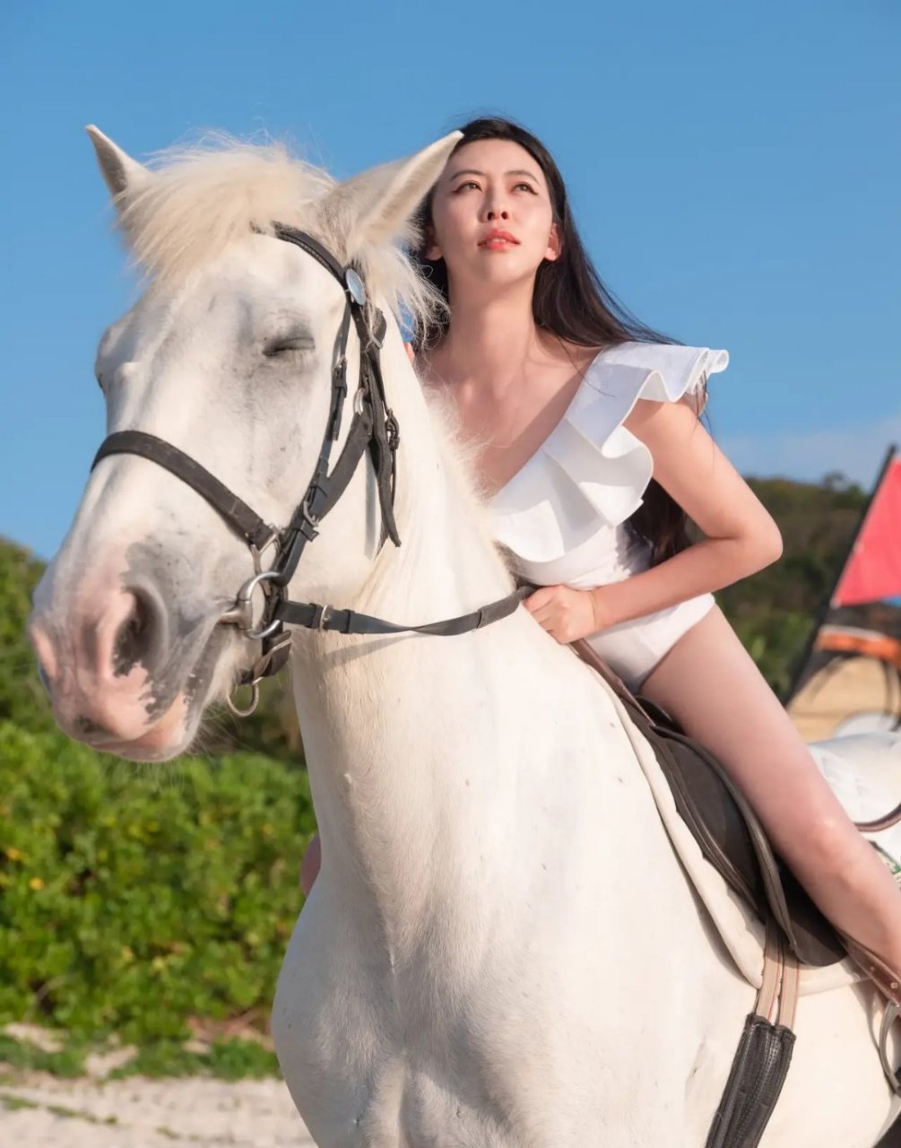 这匹马叫lisa,绝对的三亚网红马!