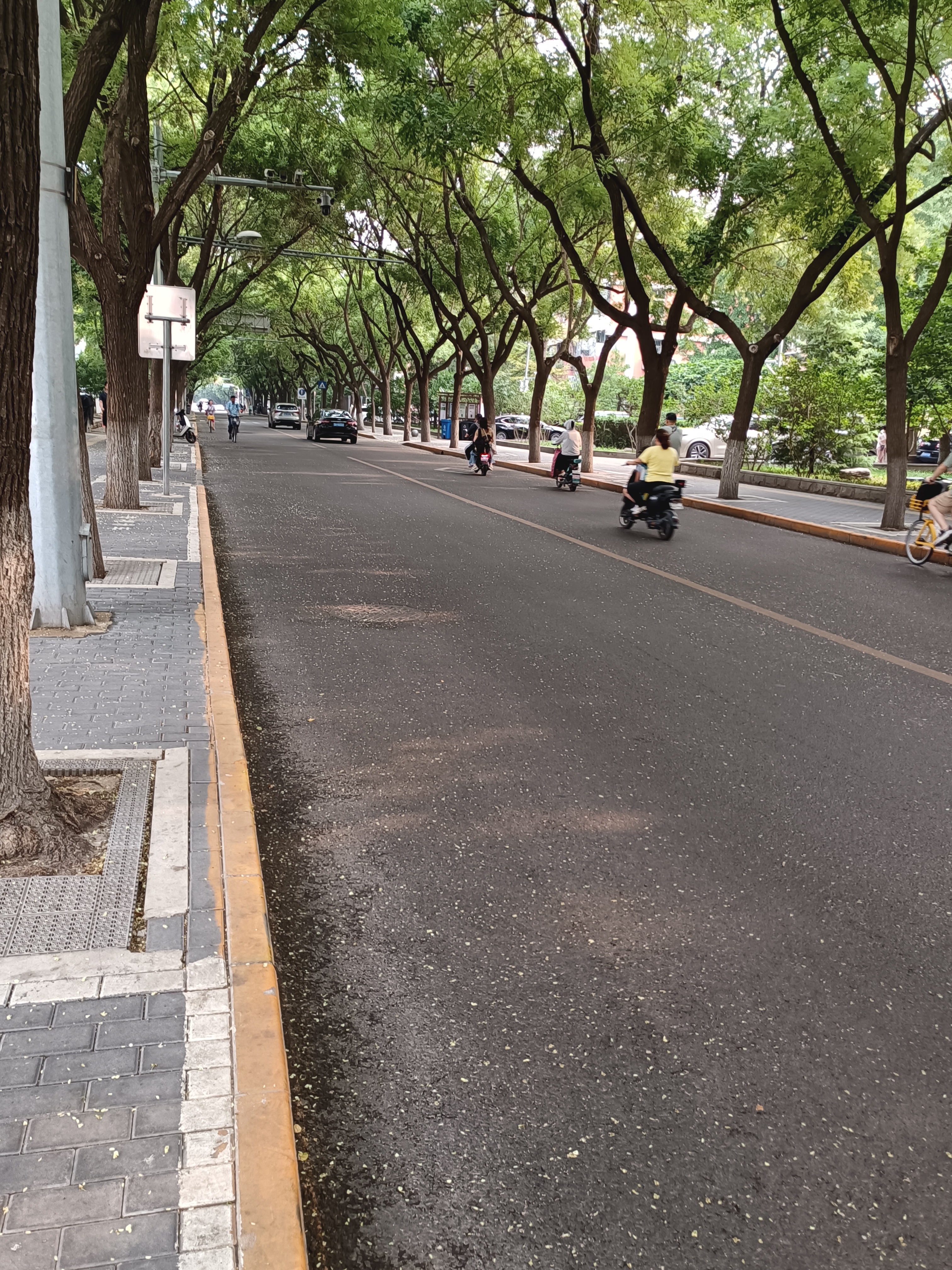 住在白广路附近,早上7:30出门,在路上没有看到拥挤的车辆和行人.