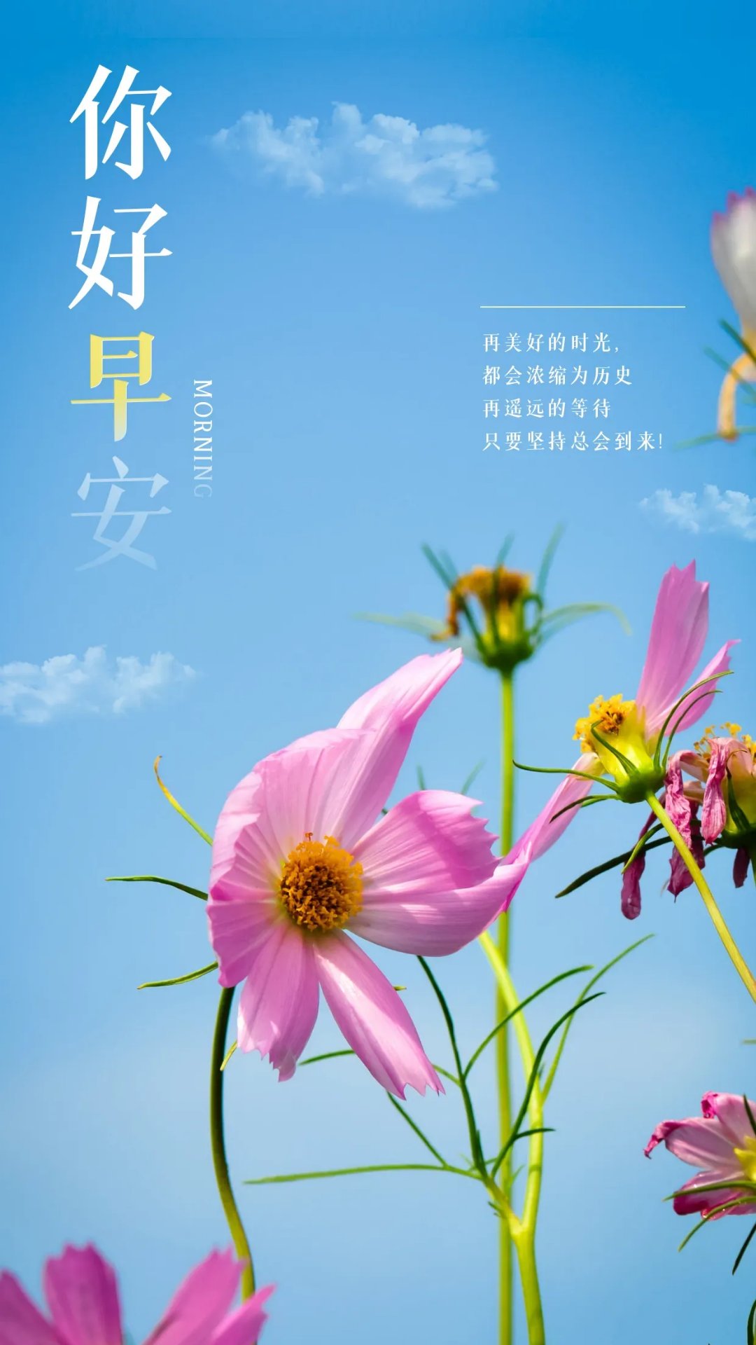 励志早安图片和早安语(励志早安图片问候语)