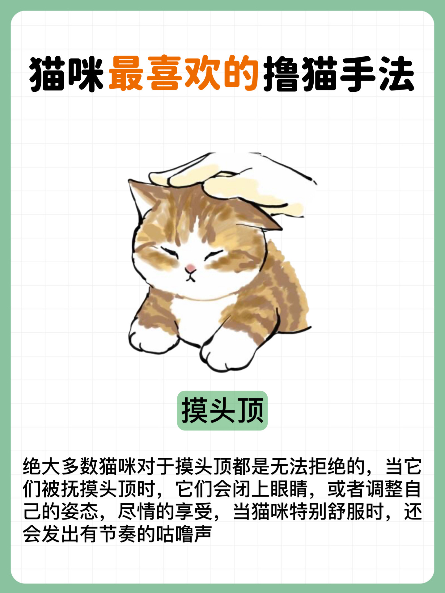 猫为什么不能带铃铛的东西为什么在线