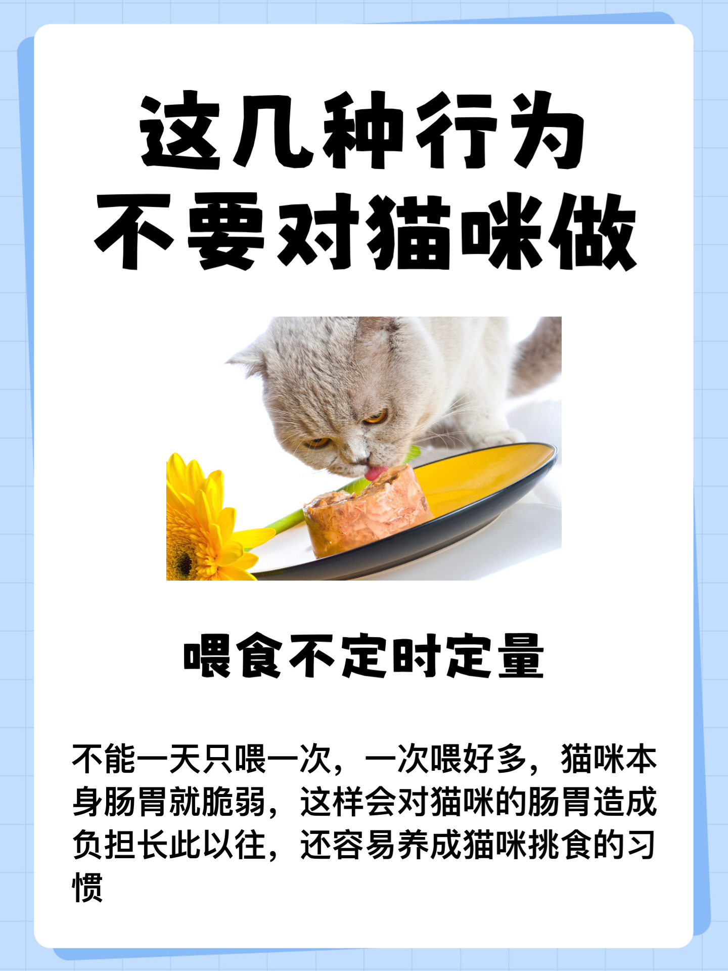 为什么不给猫吃熟牛肉 为什么不给猫吃熟牛肉