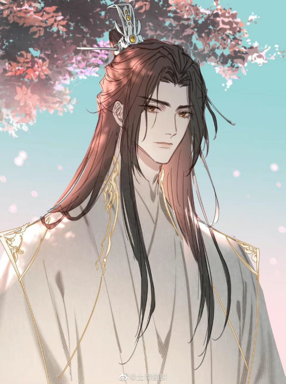 土司猫饼画的楚晚宁,踏仙帝君,太好看了,很可惜不会再继续绘画漫画了