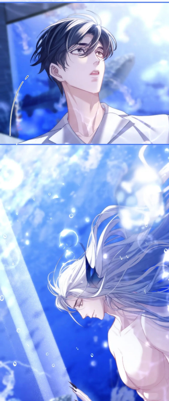 这画面真的太美了,阿伽雷斯冲啊!