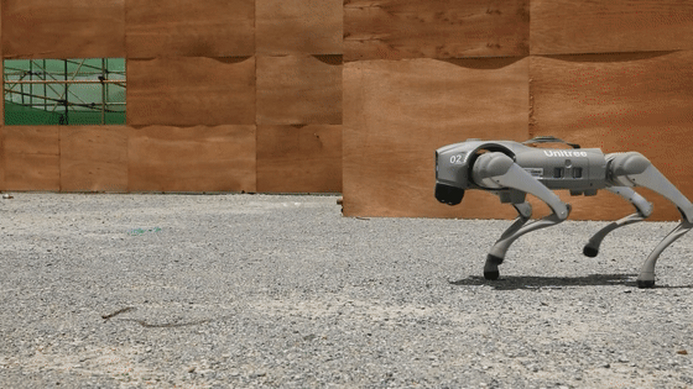 今时不同往日,天上无人机,地上机器狗.  中柬"金龙-2024"联演现场!