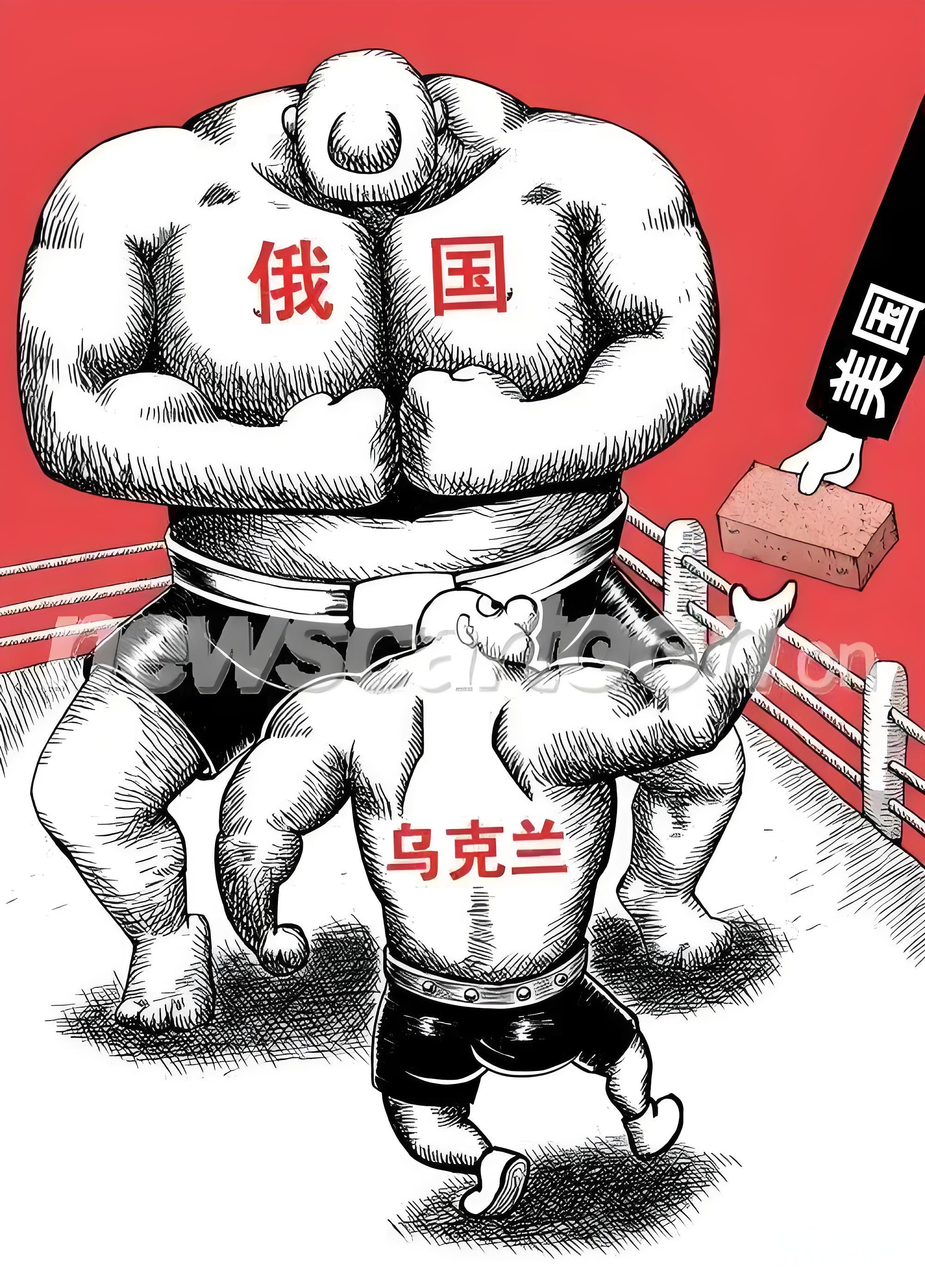 司令漫画图片图片