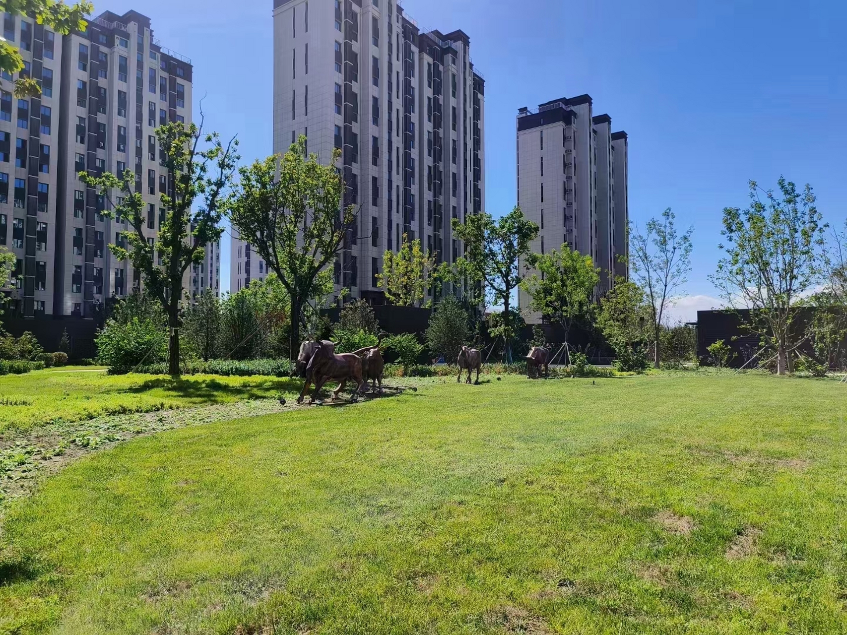 ②,小孩穿亲戚家小孩的旧衣服,大人穿兄弟姐妹,特别是城里人淘汰的