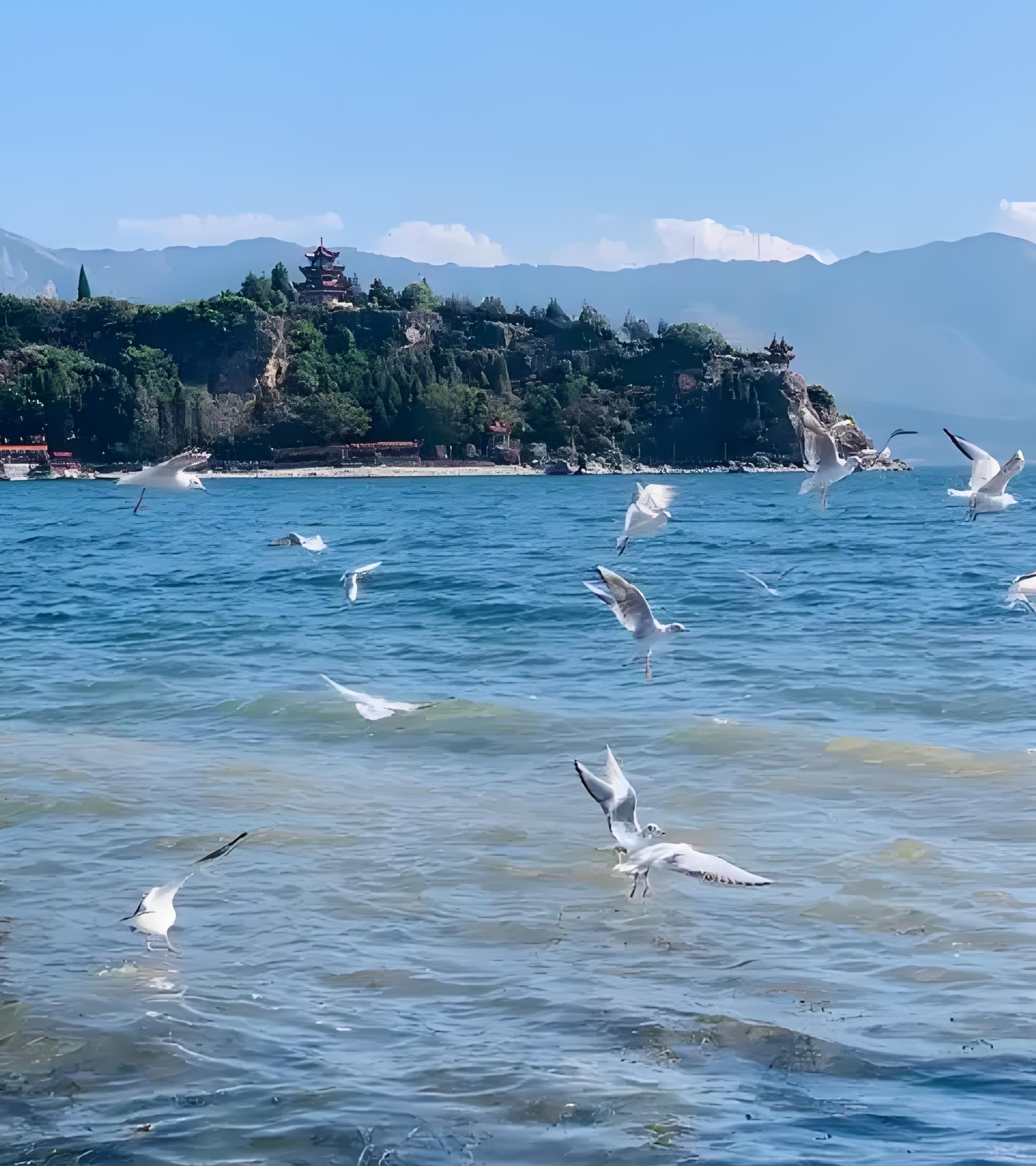 抚仙湖是云南省第三大湖泊,面积达212平方公里,最深处为155米,蓄水量