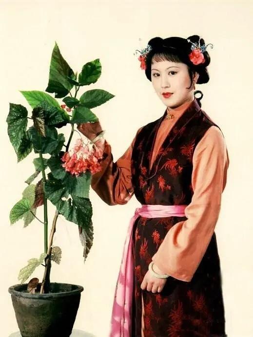 87版红楼梦中漂亮的一对丫鬟瑞珠(卓金燕)和宝珠(王晓洁).