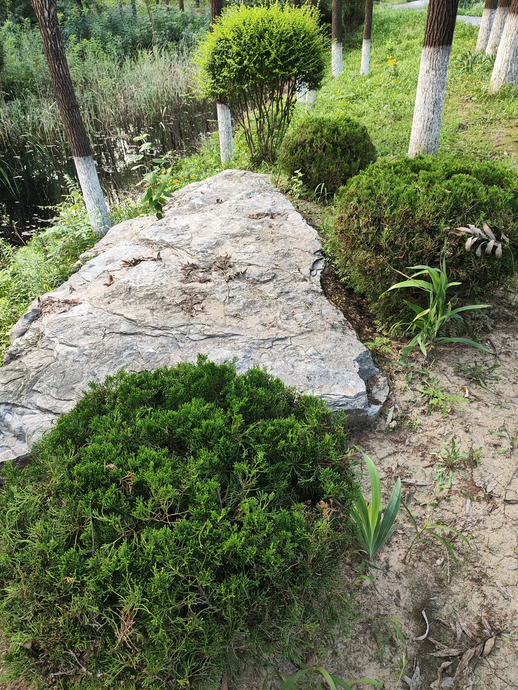 撩骚好几天,忙活一阵子,舒服几分钟,过后想想:也就那么回事儿