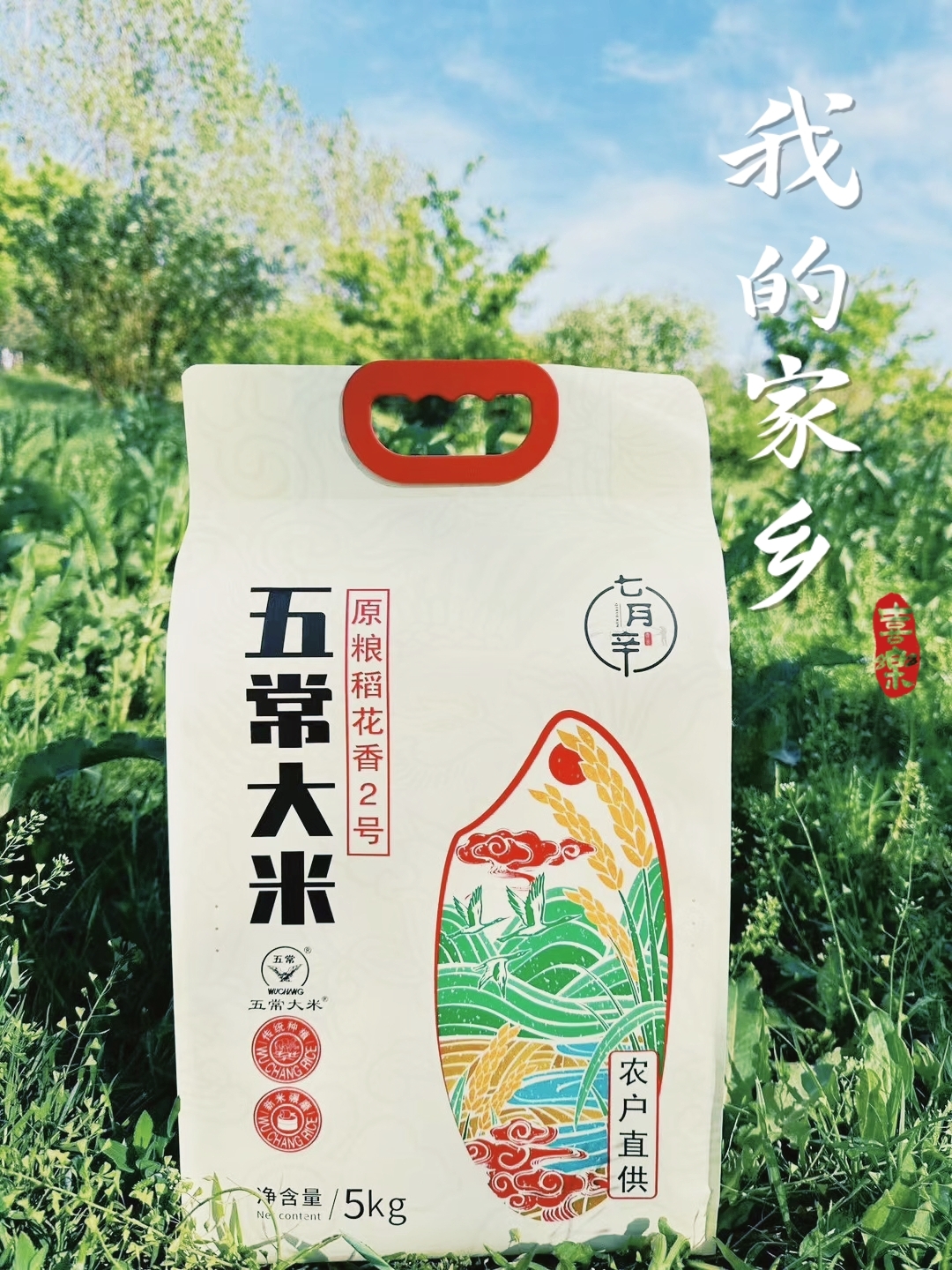 品尝五常大米的原粮,稻花香二号,产自我们的自家种植,位于核心产区