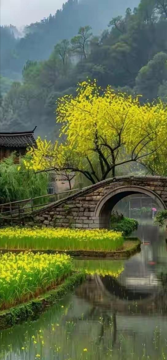 这一组小桥流水,山水人家图片,真是很漂亮的,看了山村美景太让人兴奋